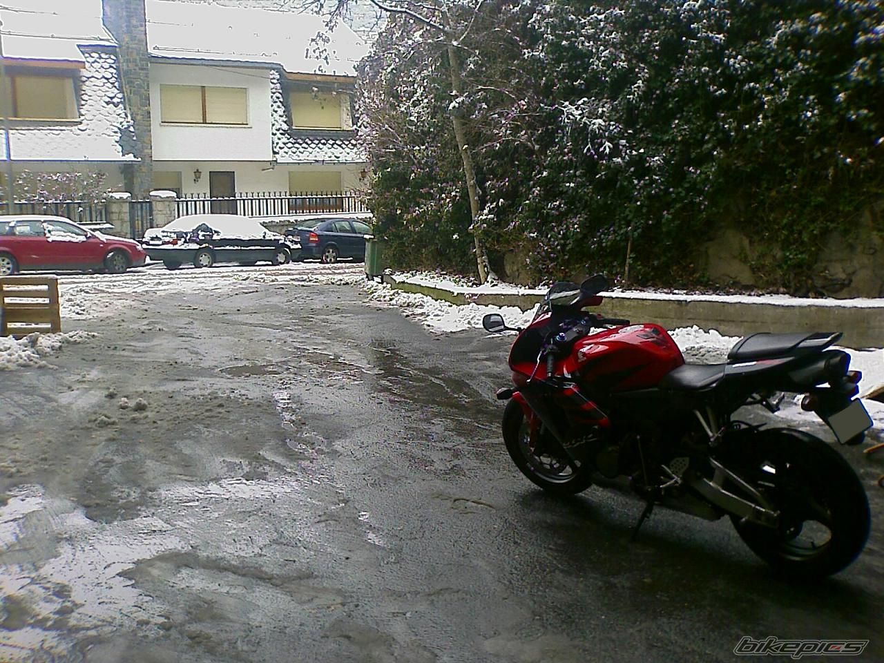 Bike Photo 1495807