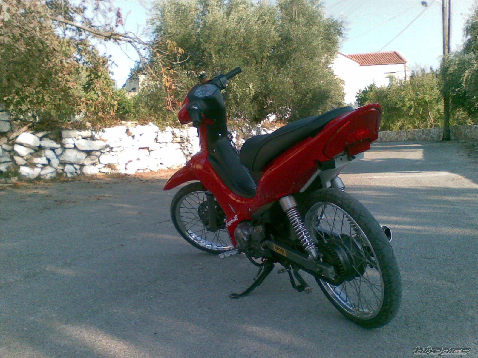 Photo 1495845