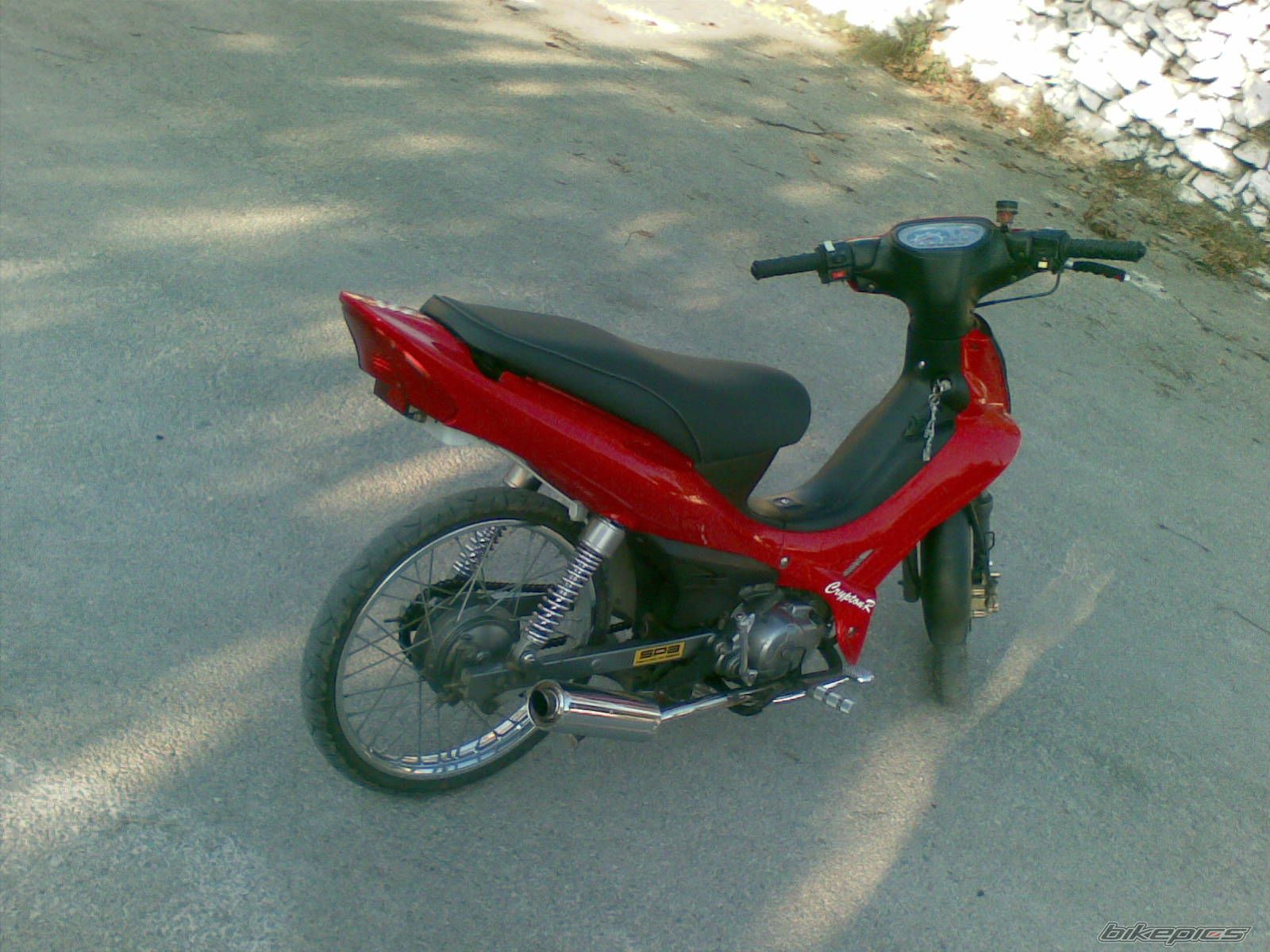 Photo 1495848