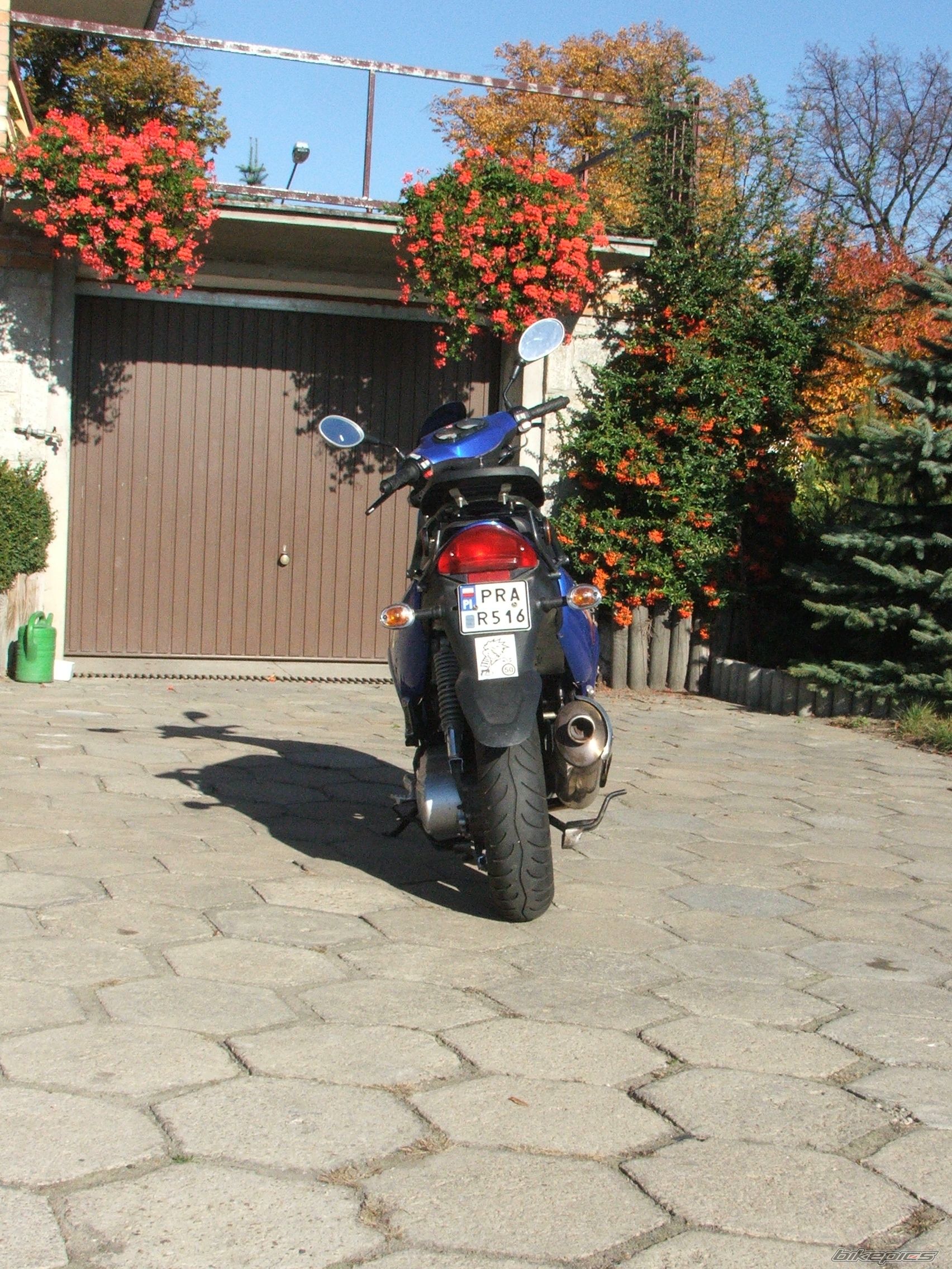Photo 1495890