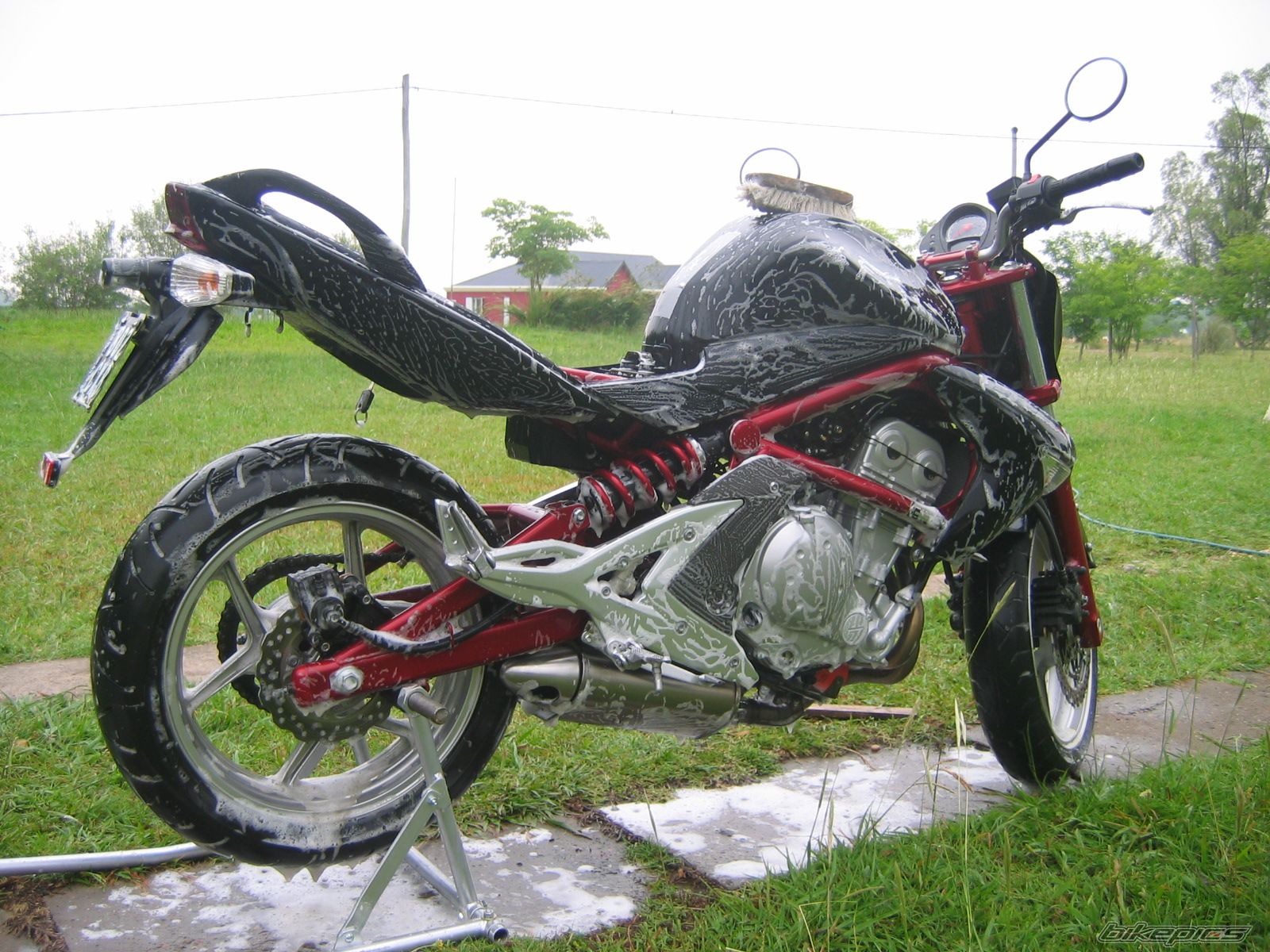 Photo 1495959