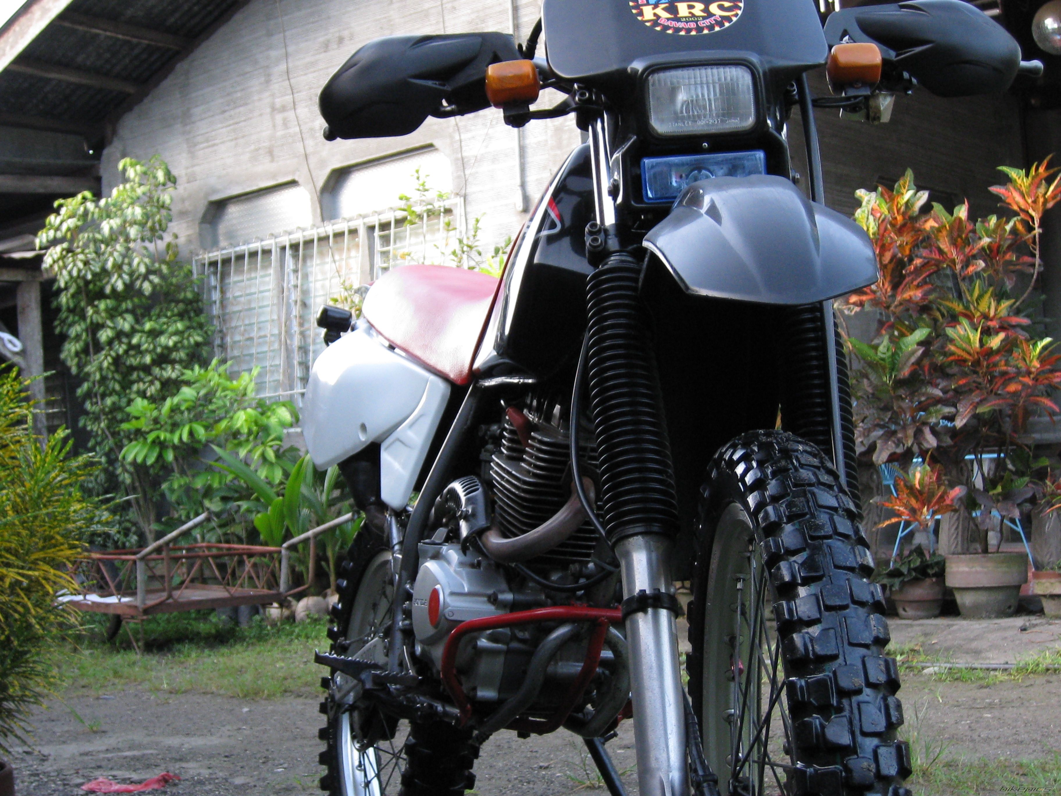 Photo 1495967