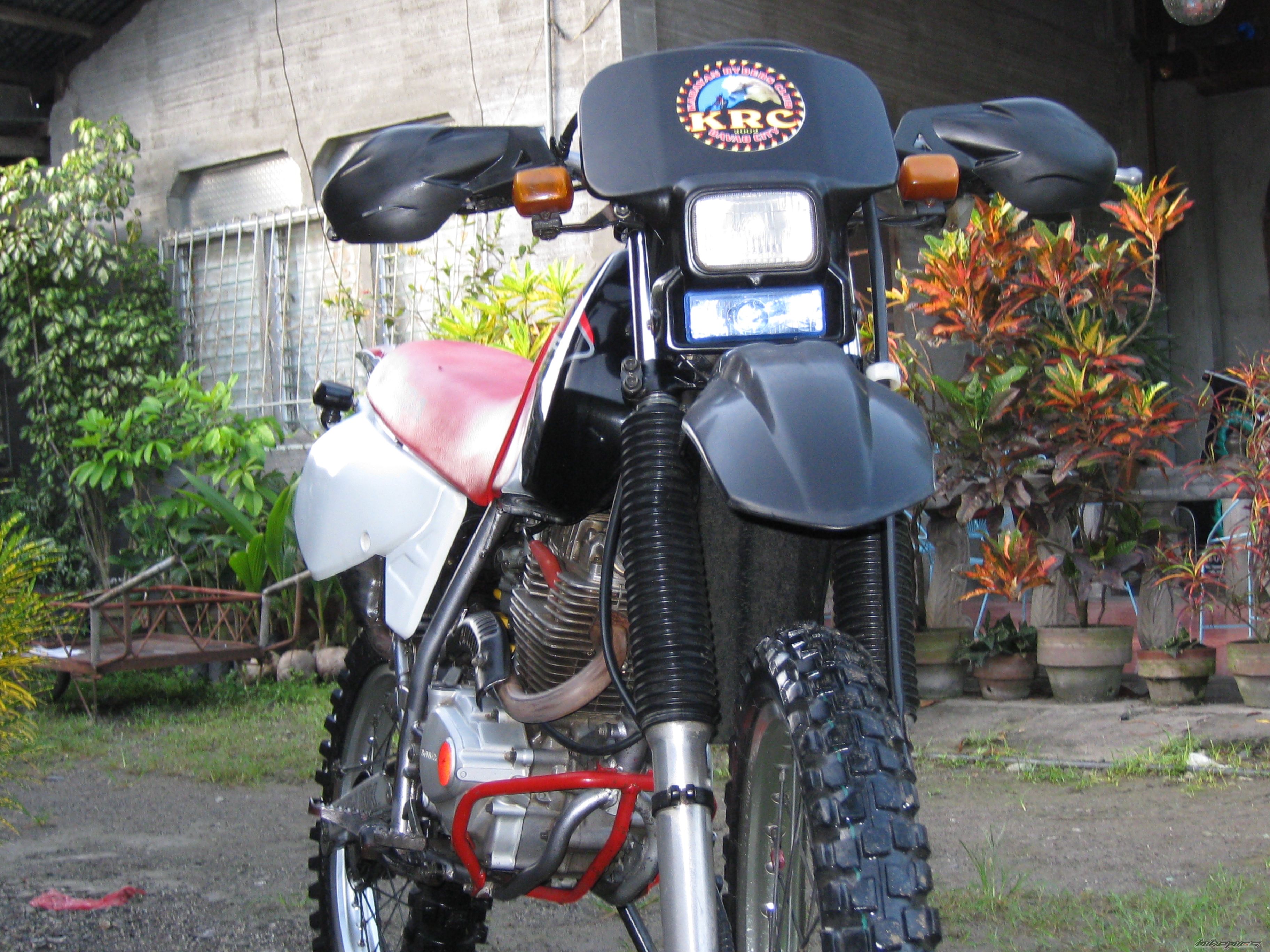 Photo 1495968