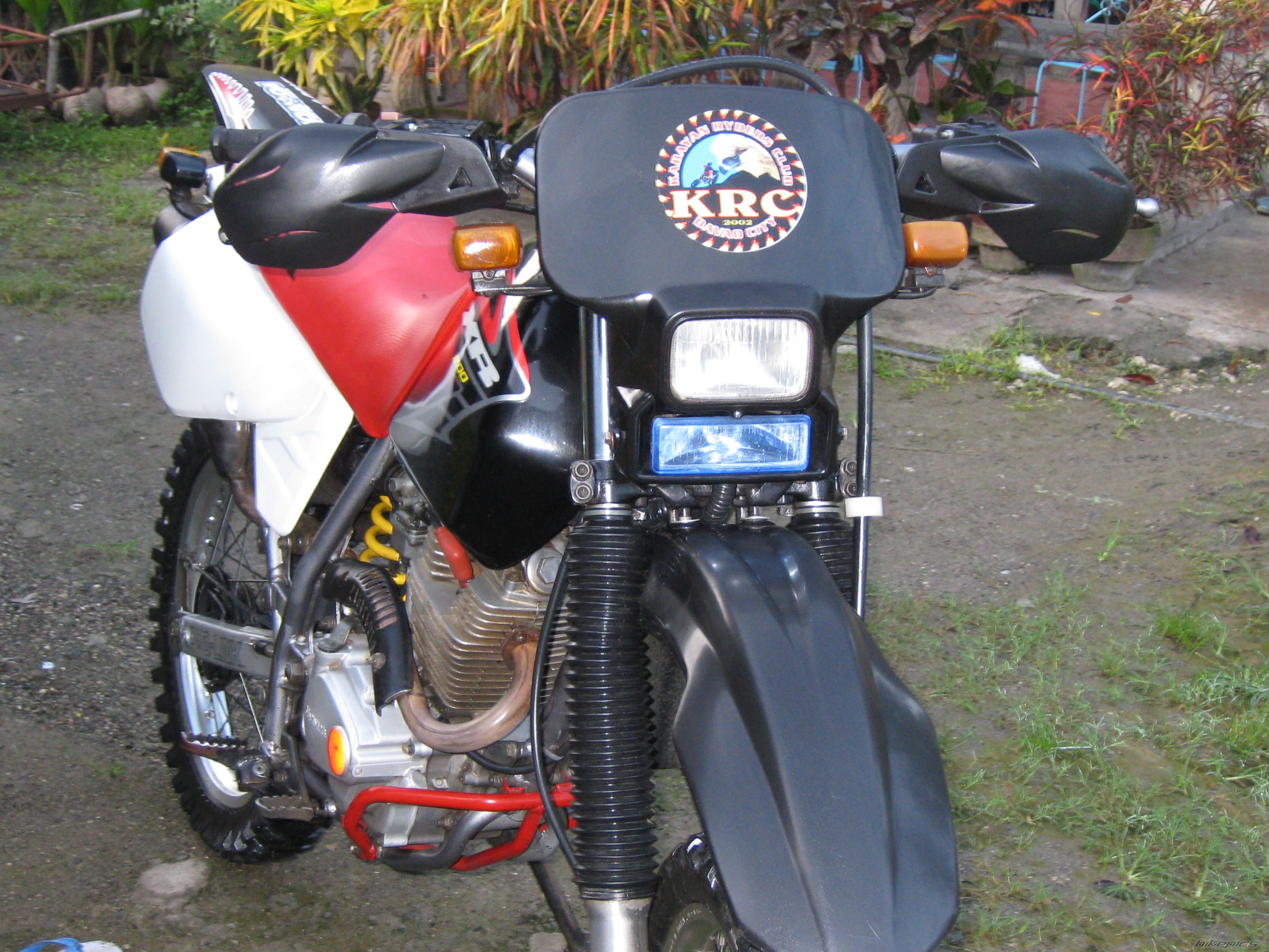 Photo 1495971