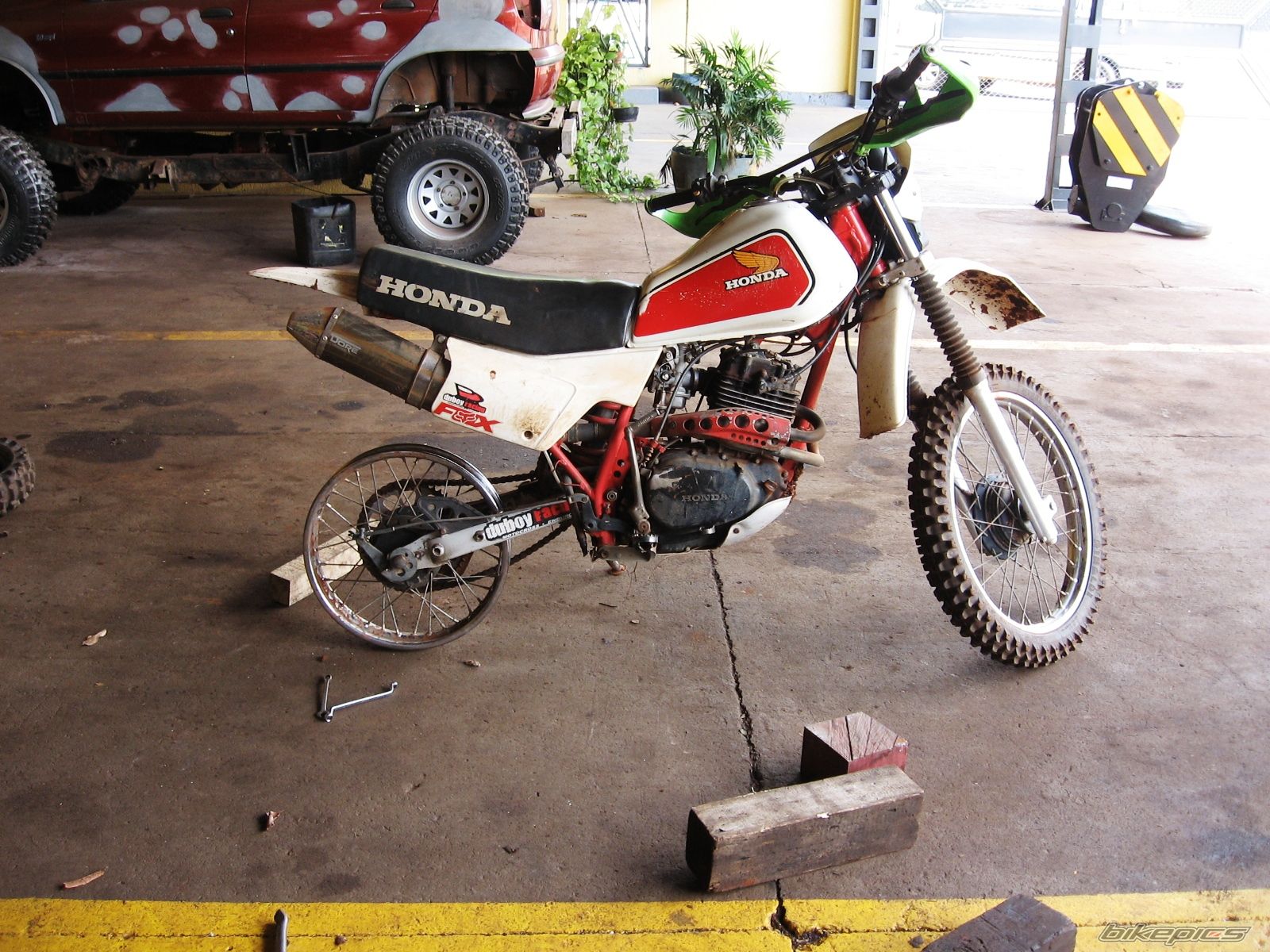 Photo 1495976