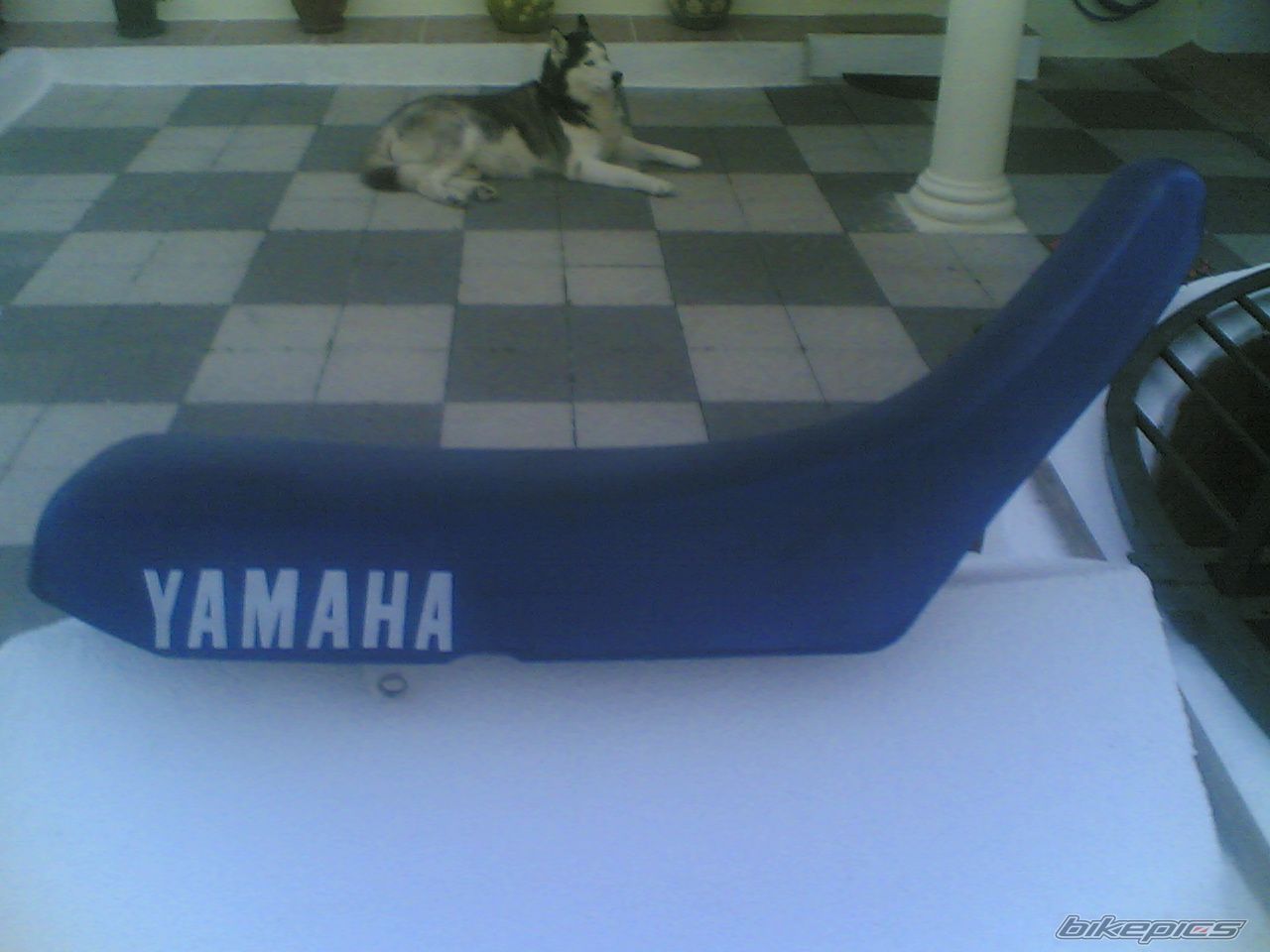 Photo 1495987
