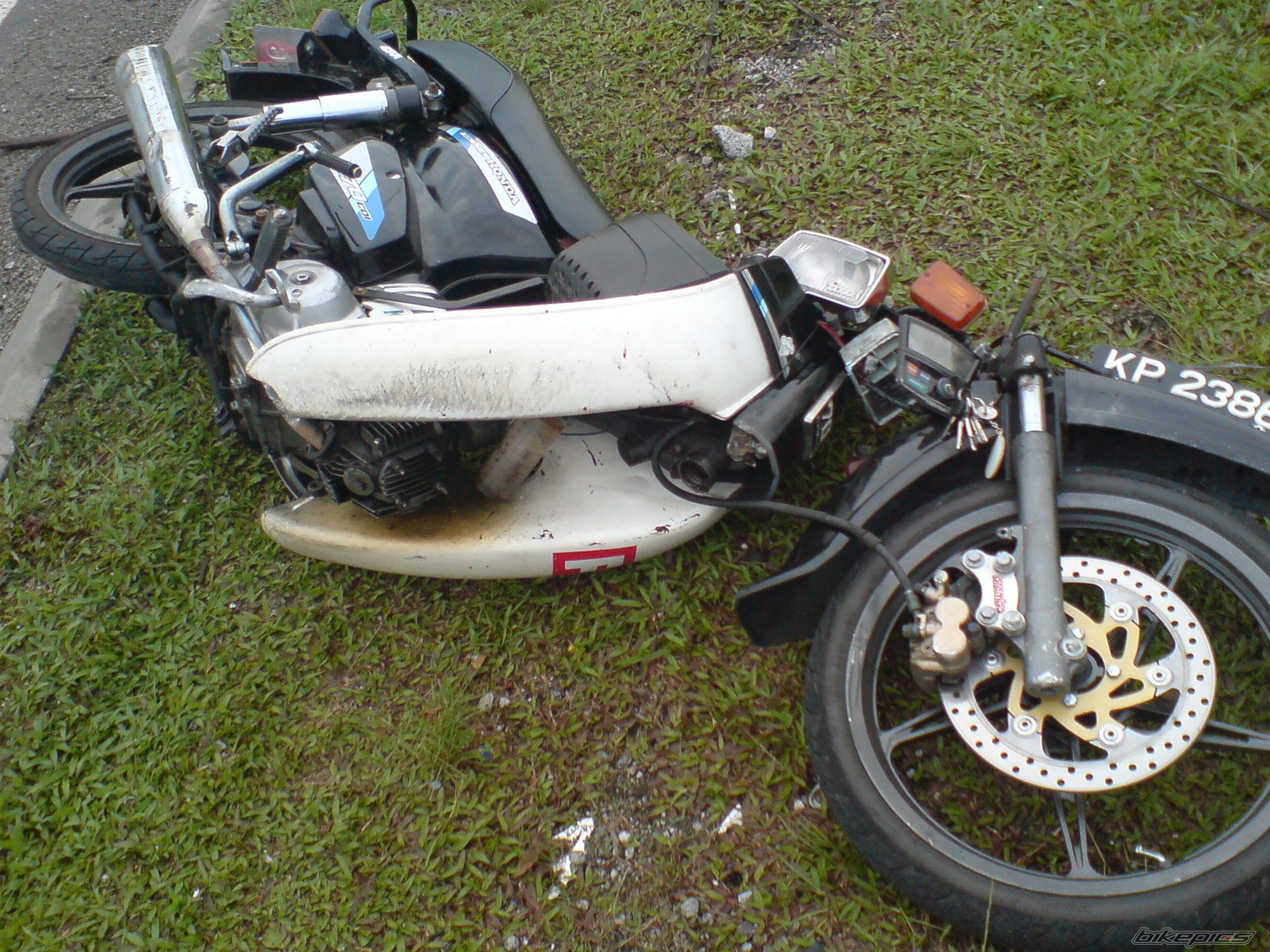 Photo 1496012