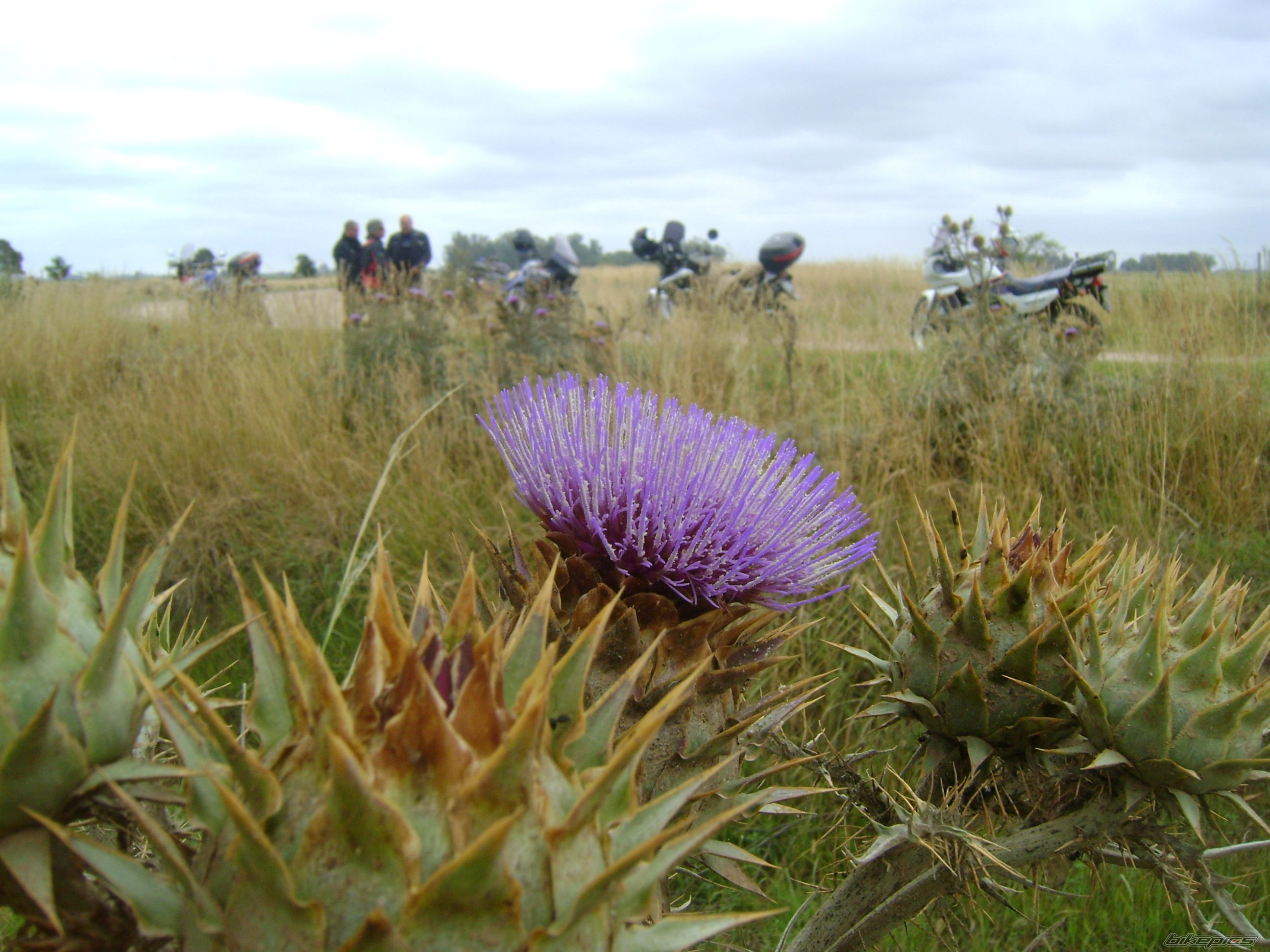 Photo 1496024