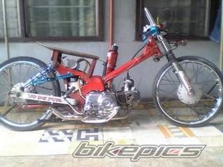 Photo 1496029