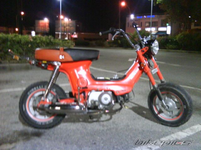 Photo 1496052