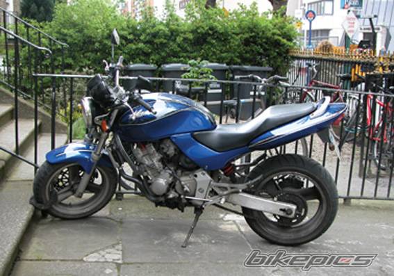 Photo 149618