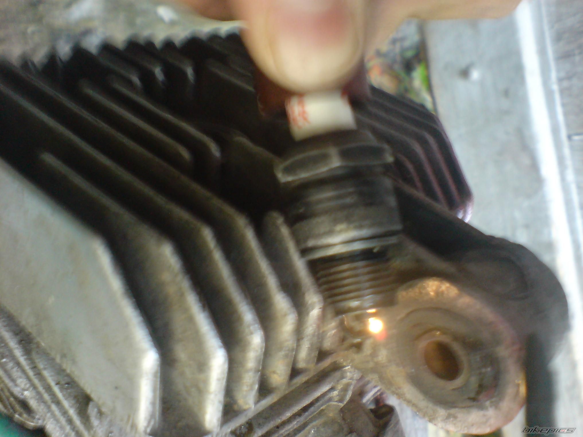 Photo 1496181