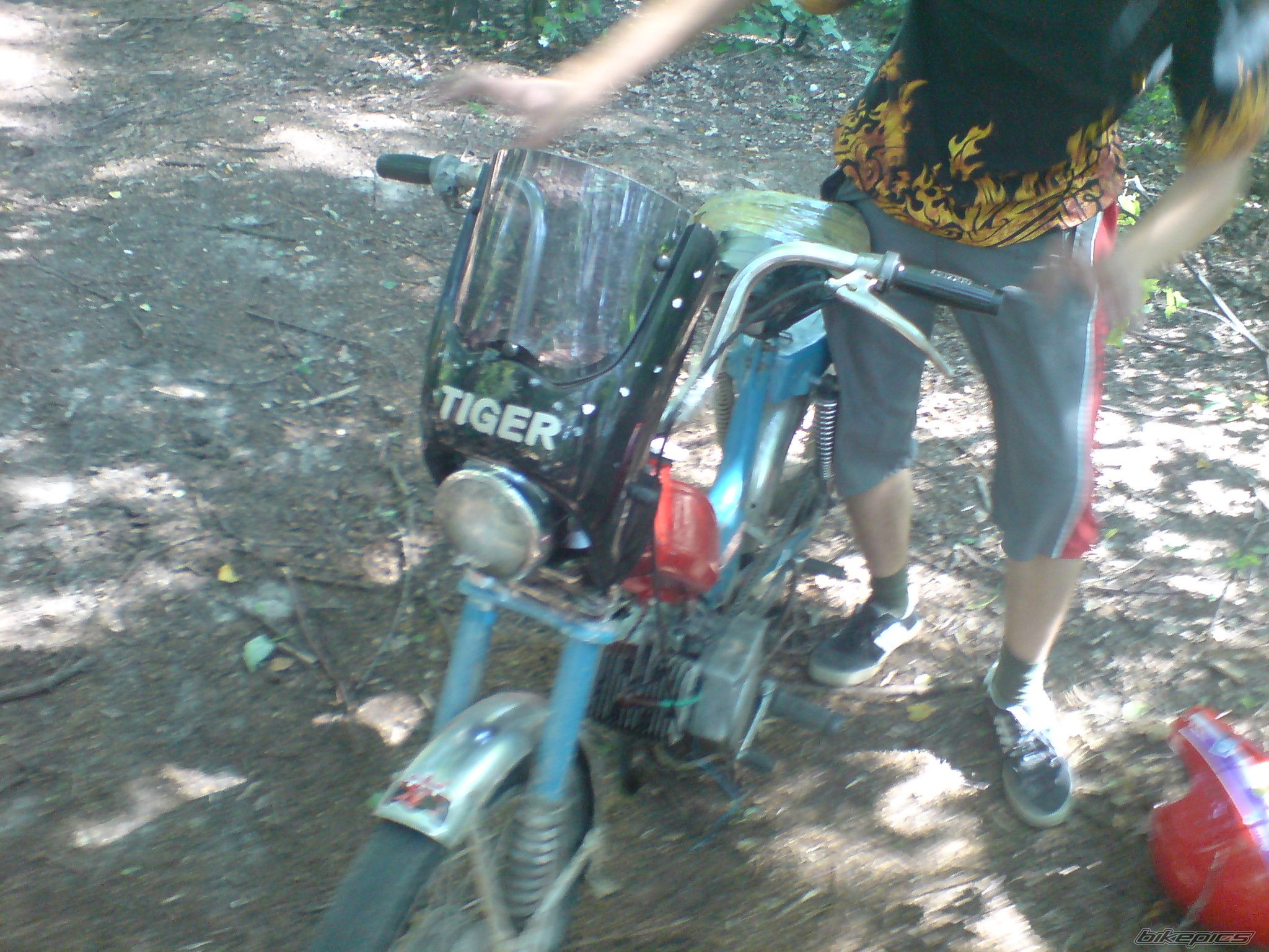 Photo 1496184