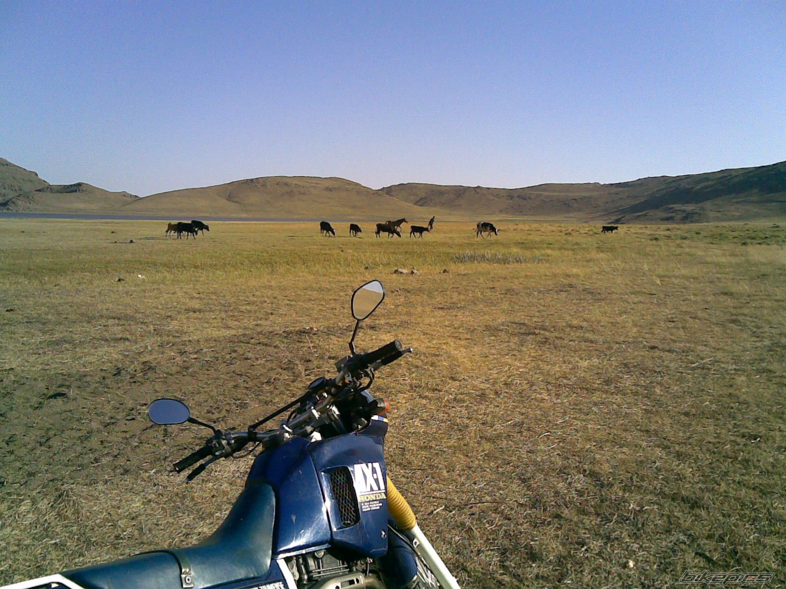 Photo 1496233