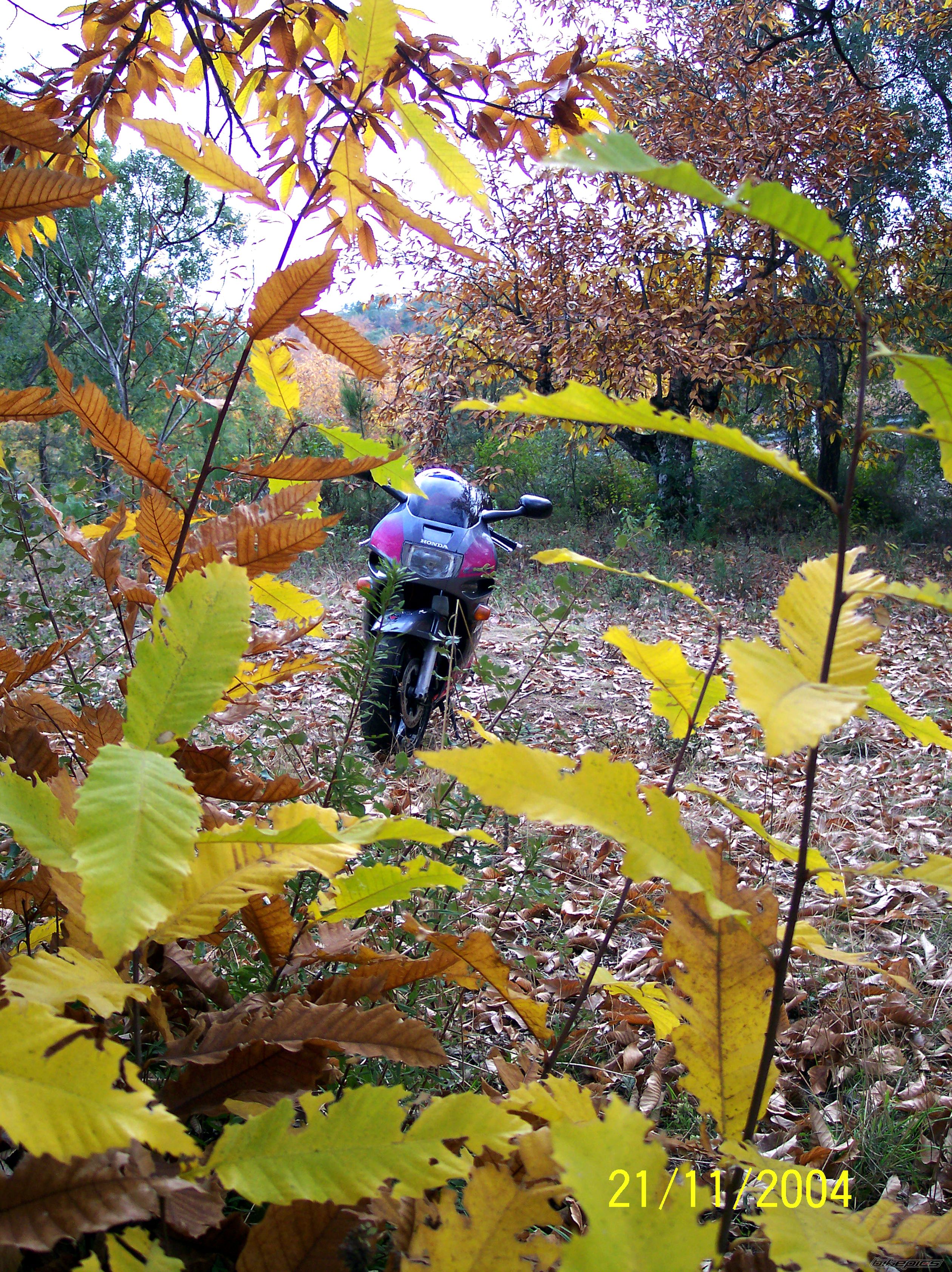Bike Photo 1496238