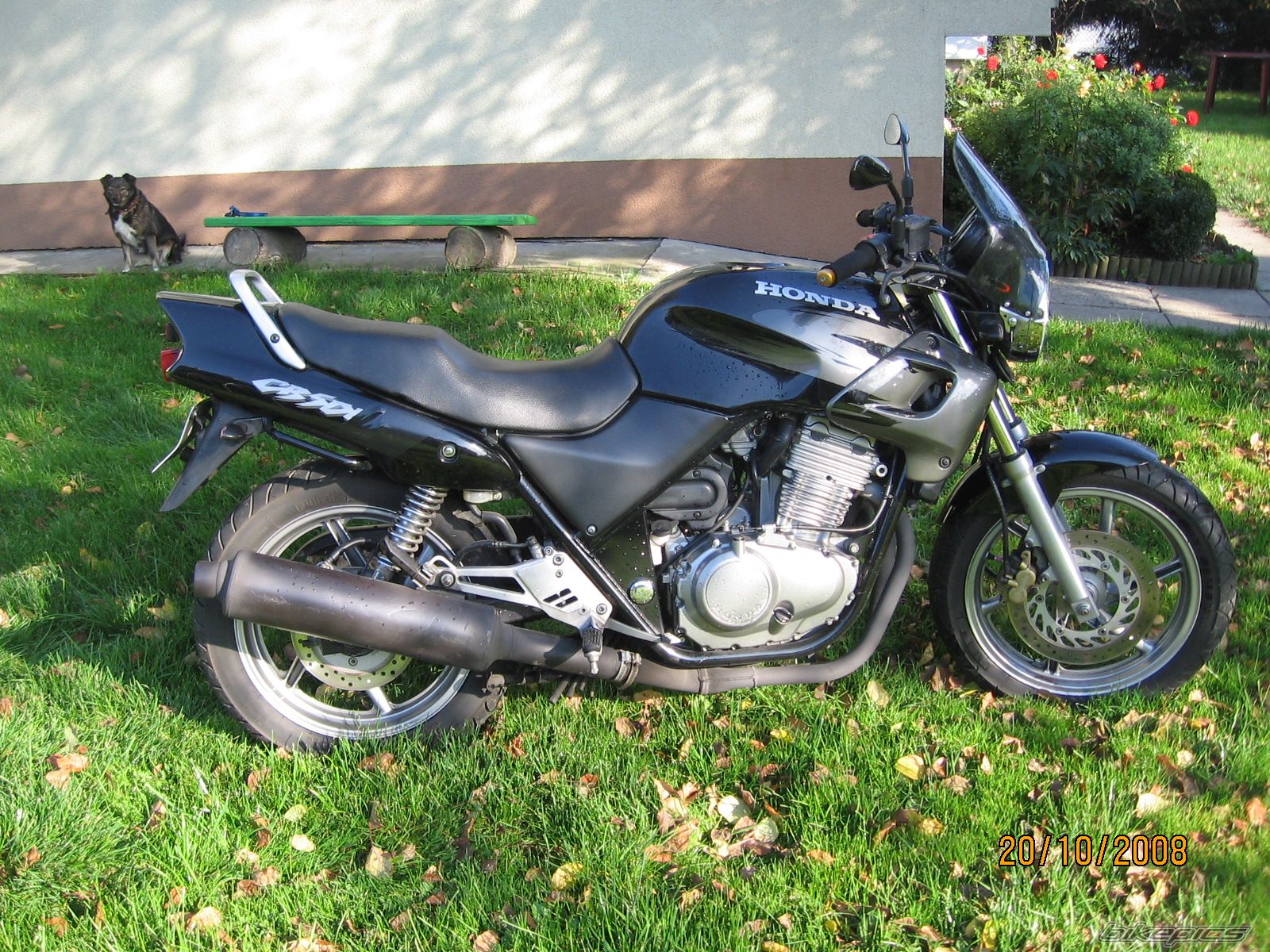 Photo 1496258