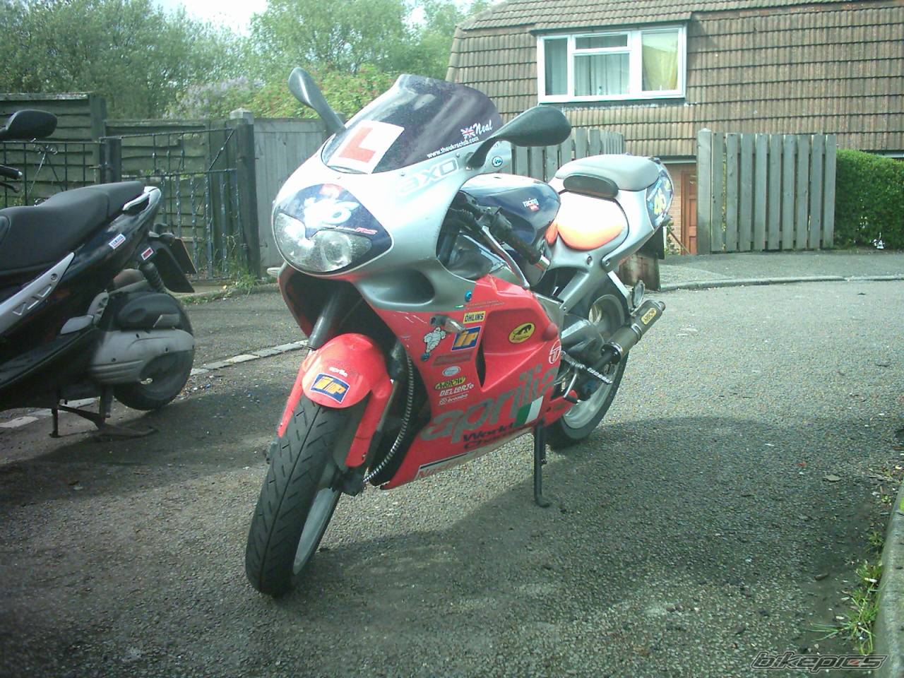 Photo 149641