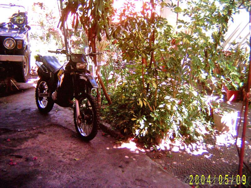 Photo 149642