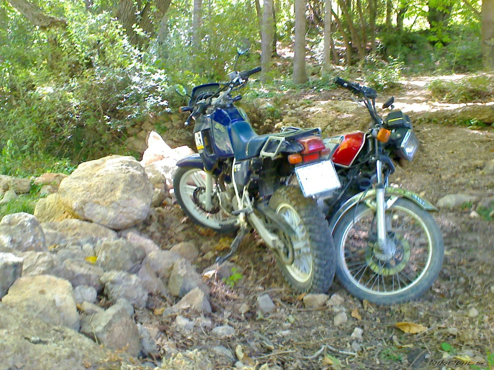 Photo 1496506