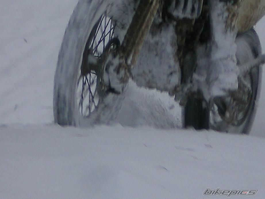Photo 1496546