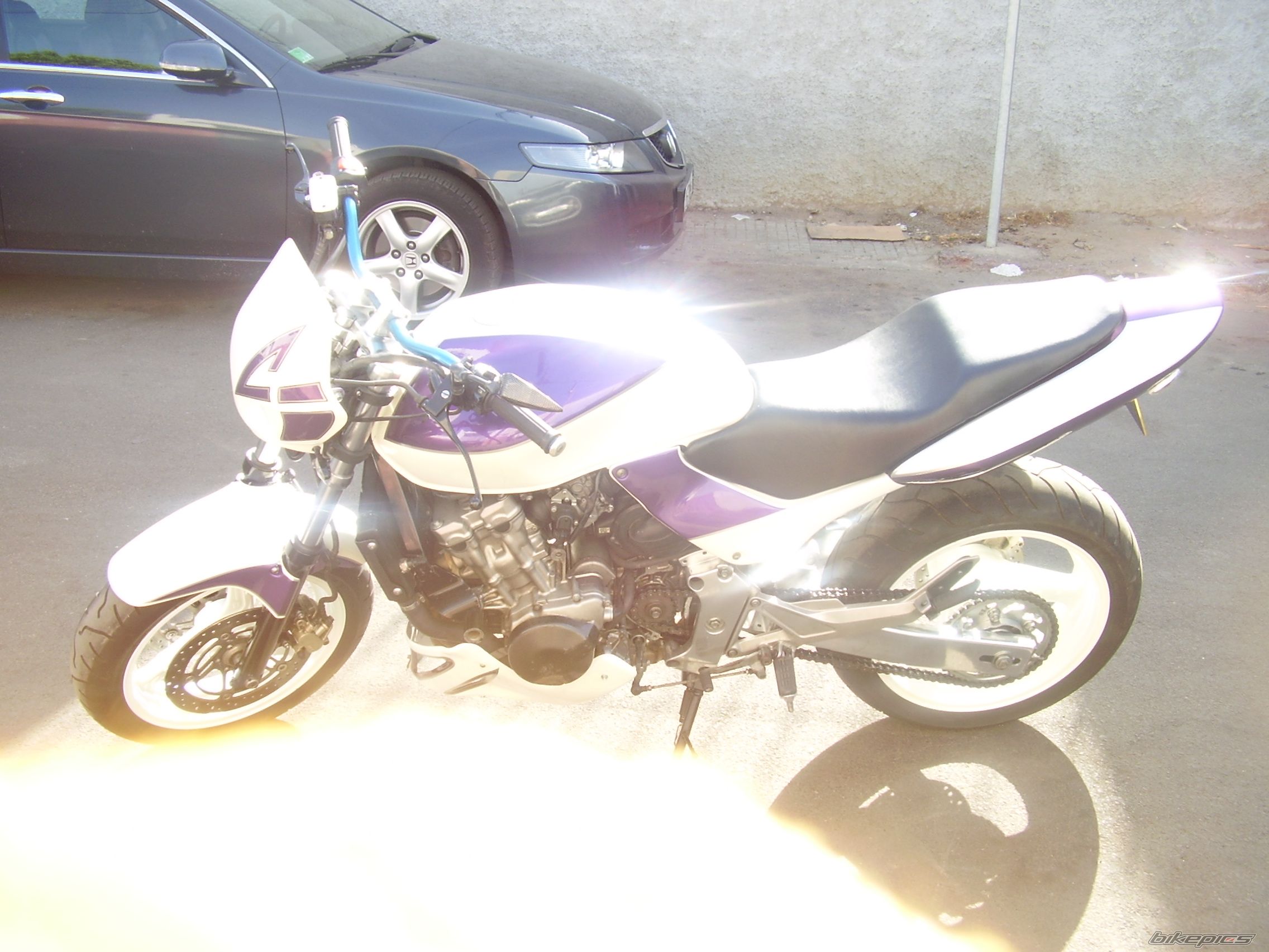 Photo 1496561
