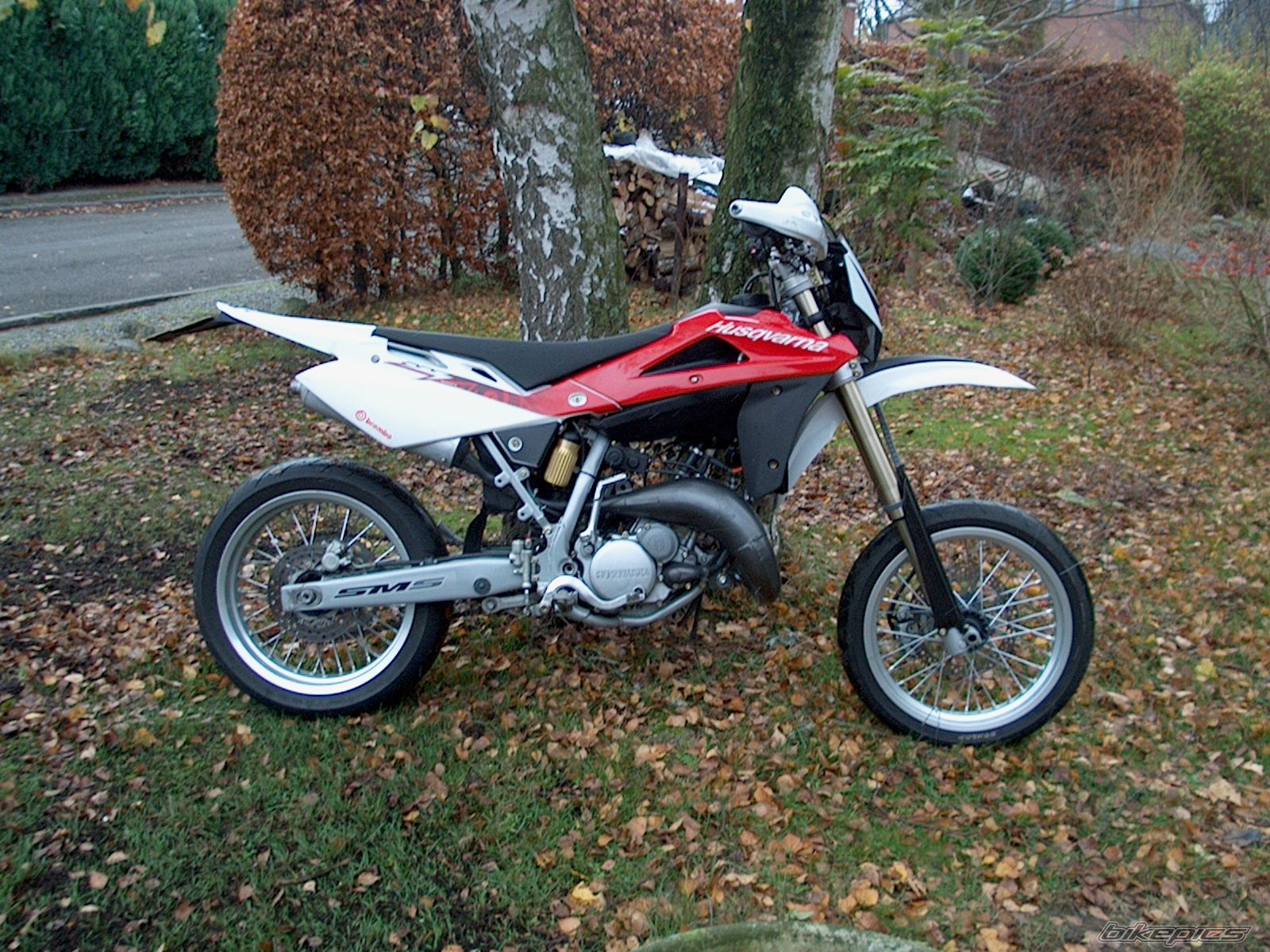 Photo 1496564