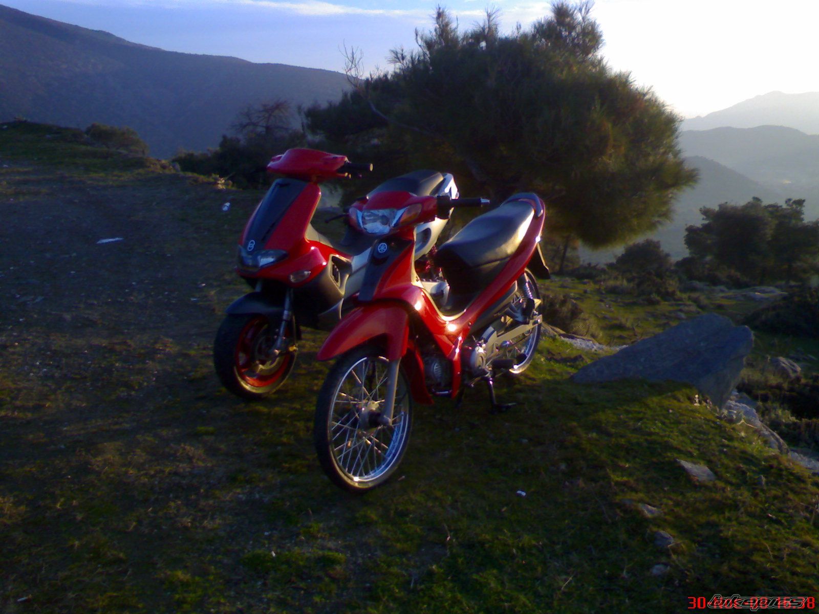 Photo 1496566