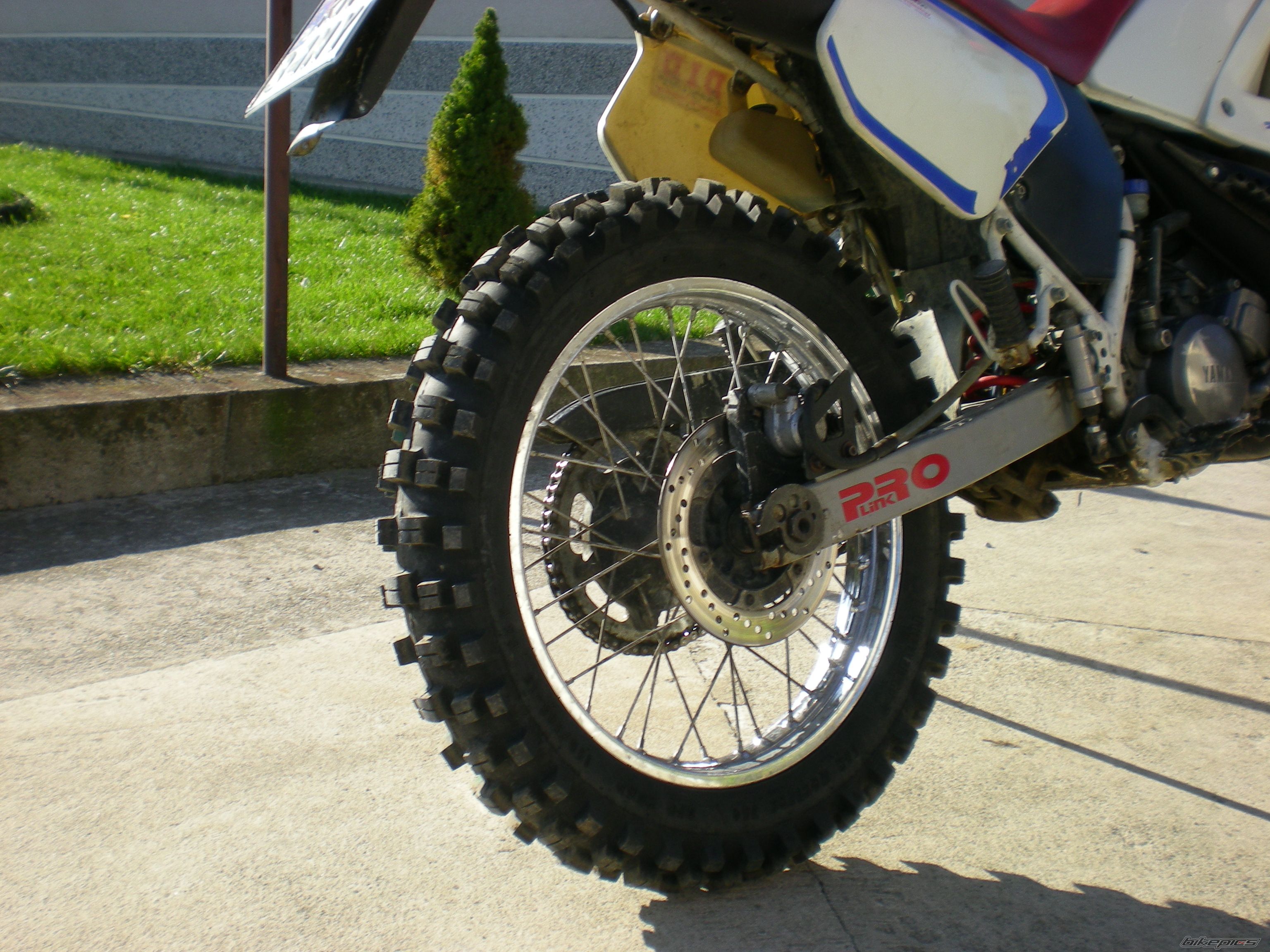 Photo 1496568