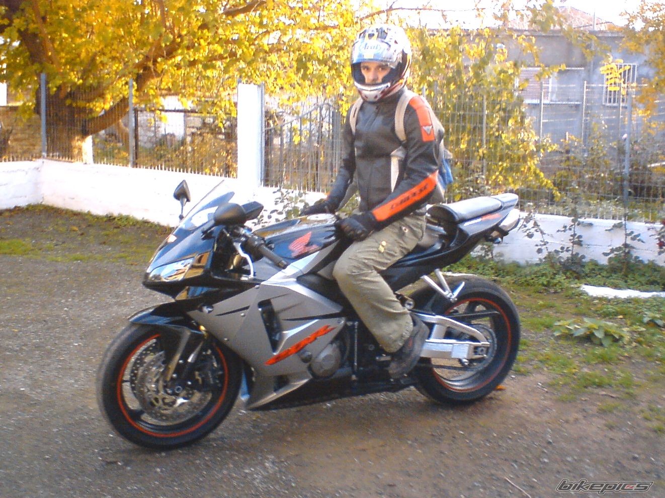 Photo 1496569