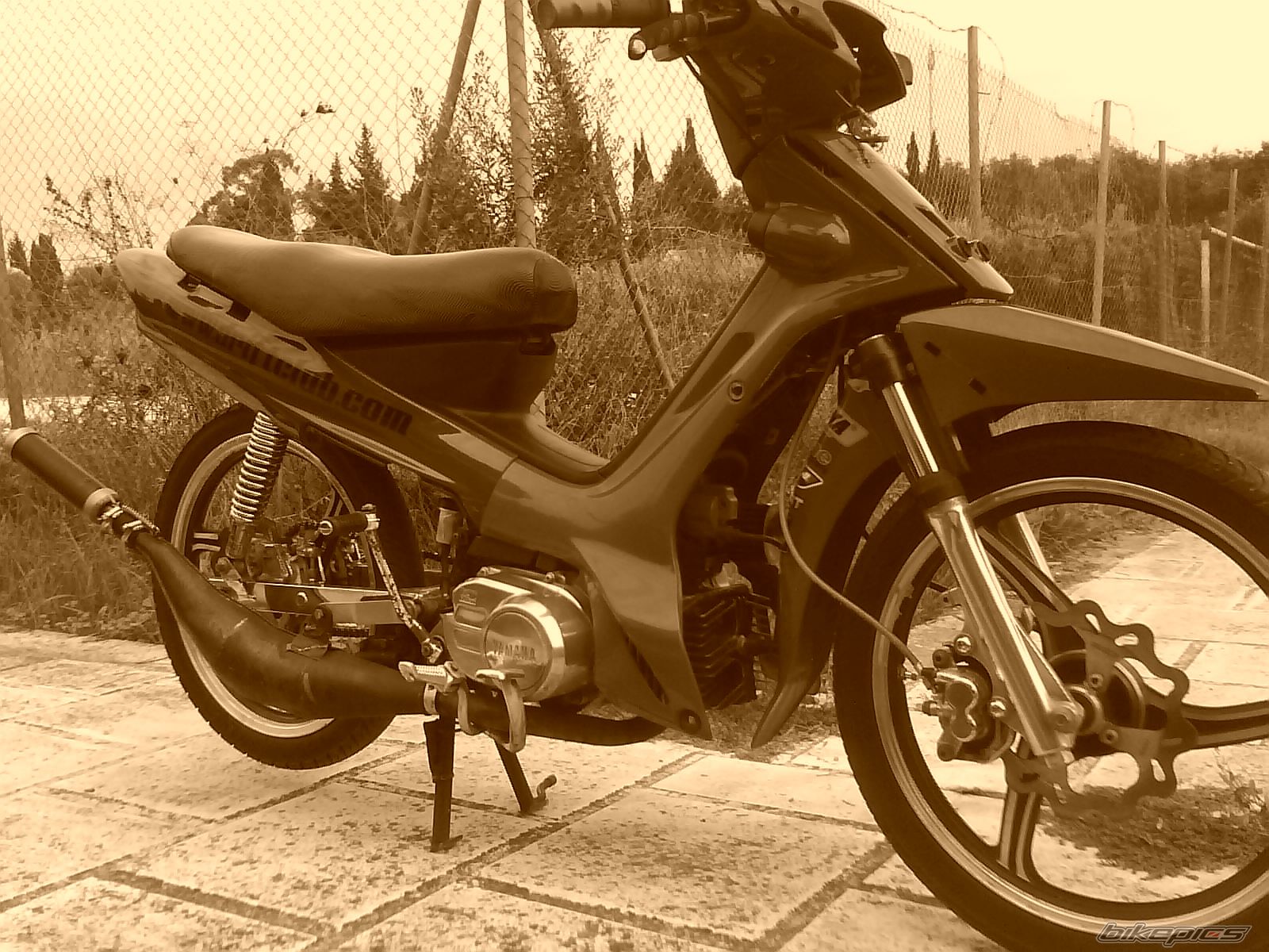 Photo 1496724