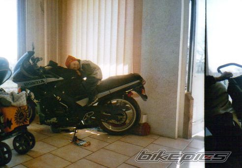 Photo 1496734