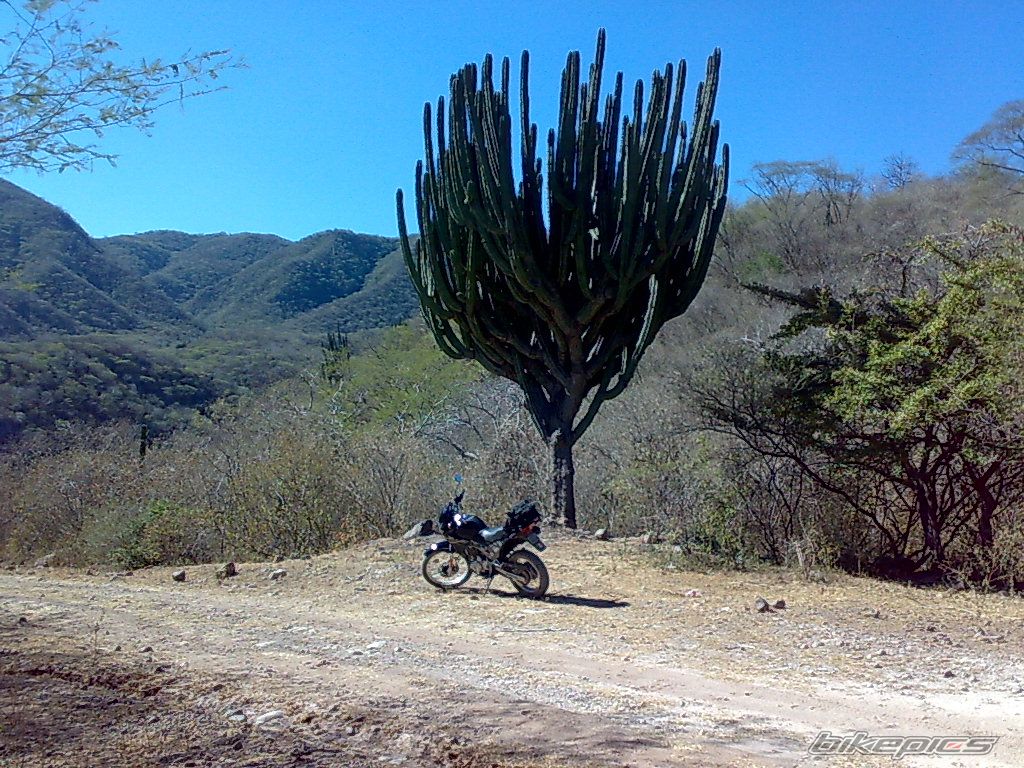 Photo 1496790
