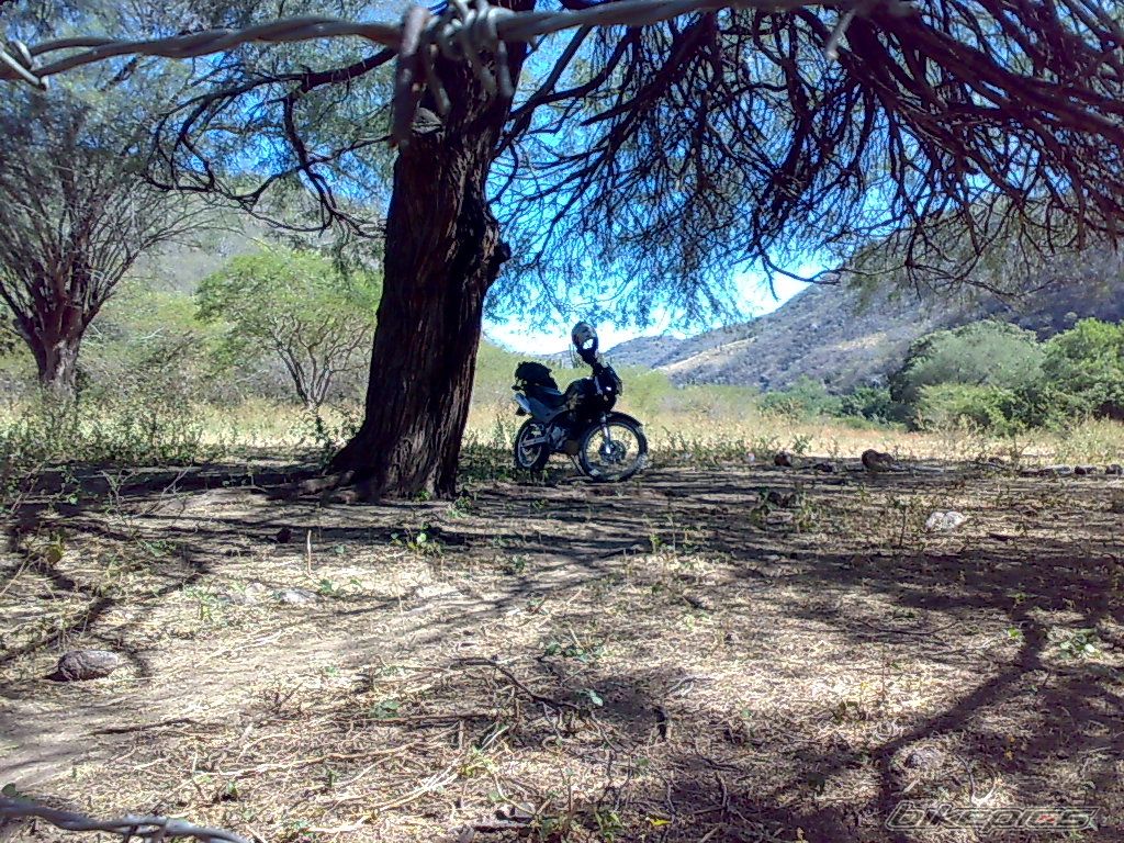 Photo 1496792
