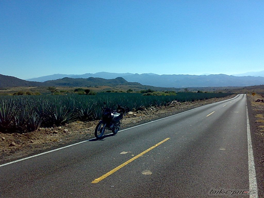 Photo 1496794