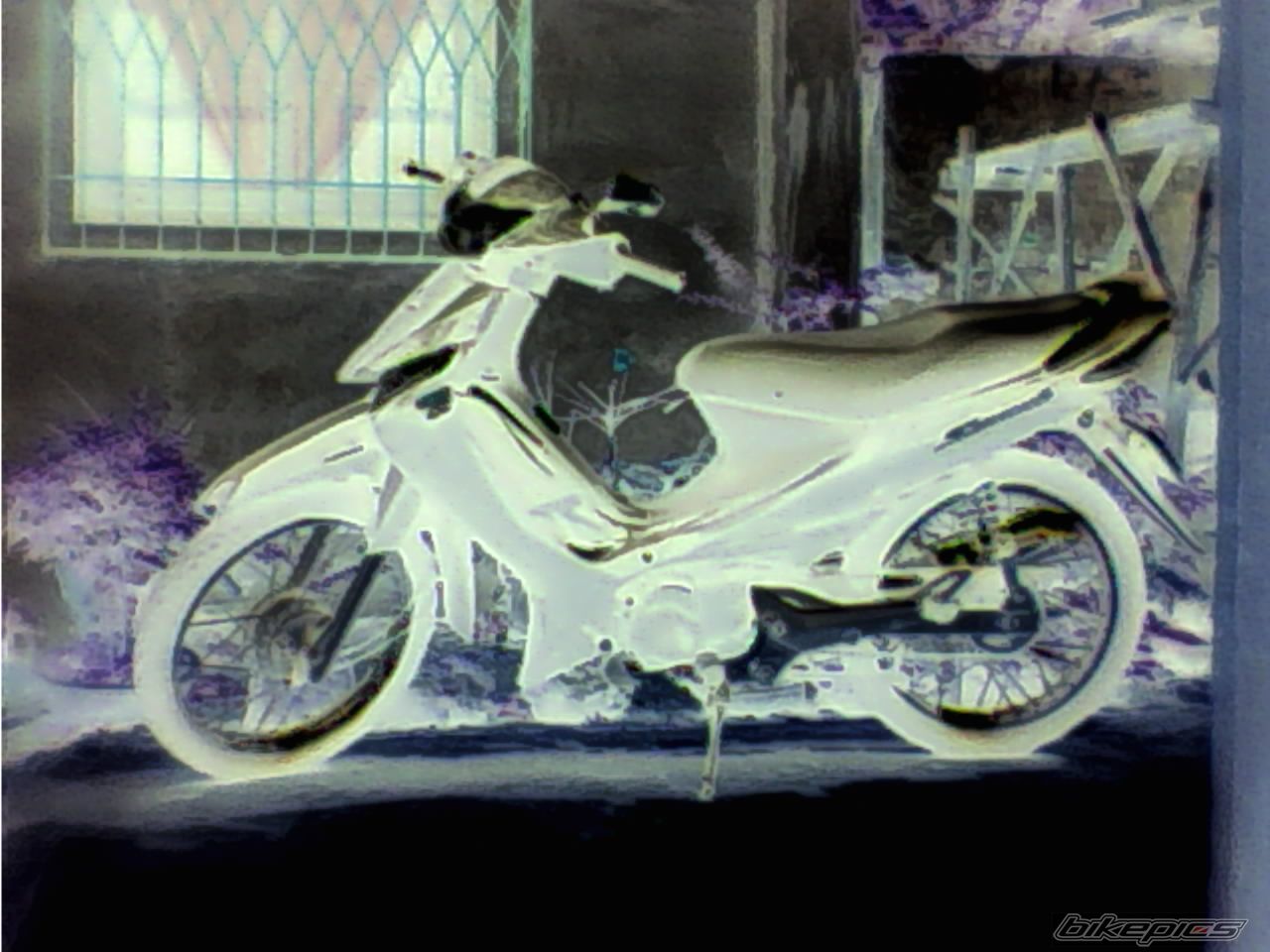 Photo 1496951