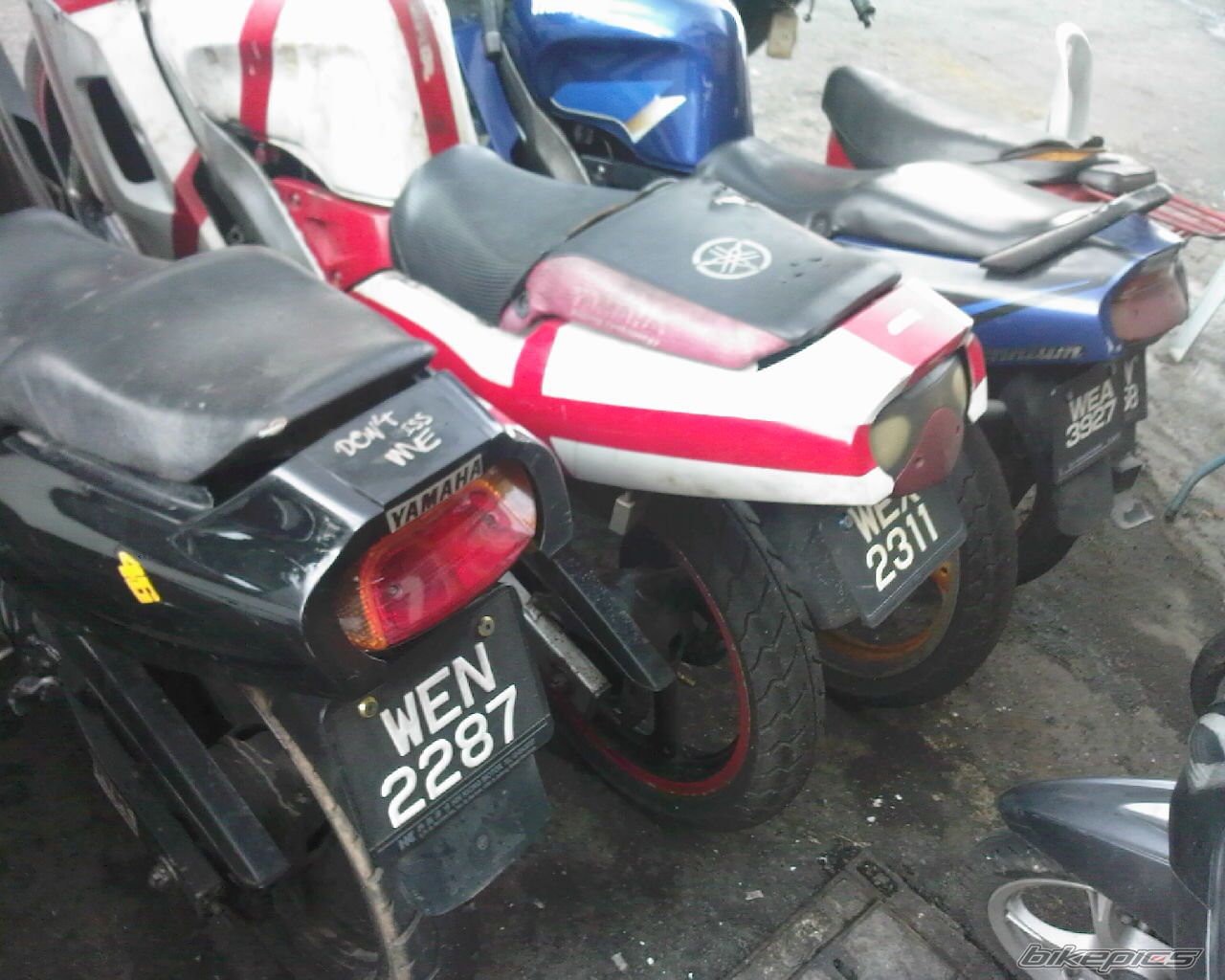 Photo 1497024