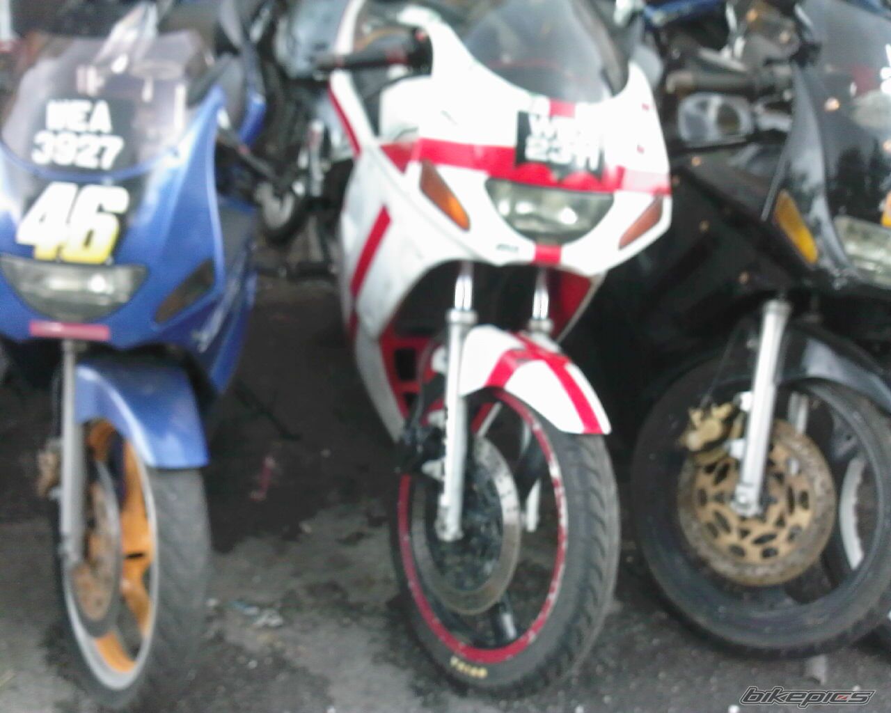 Photo 1497027