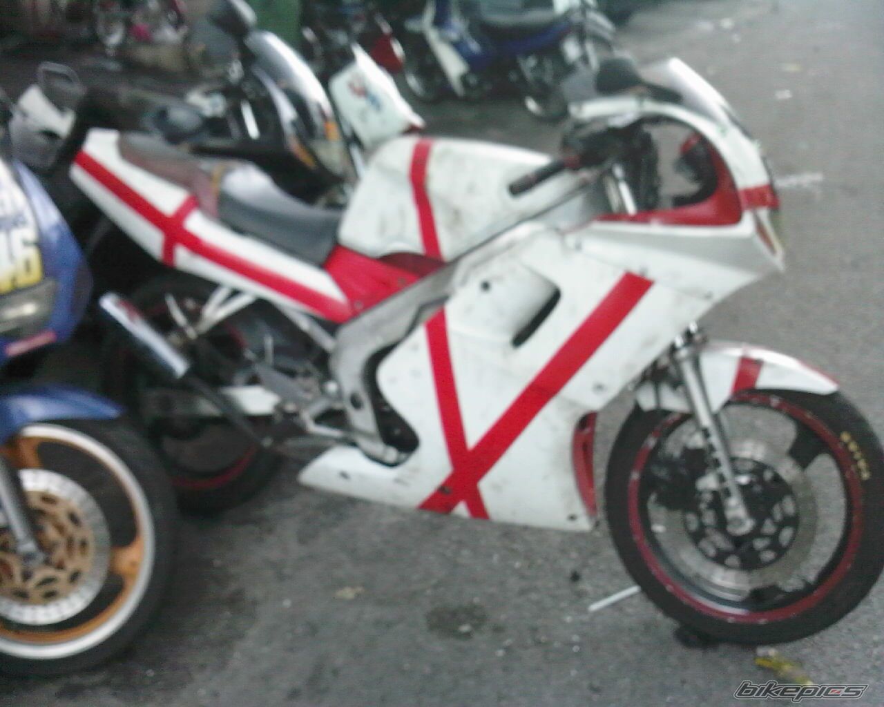 Photo 1497029