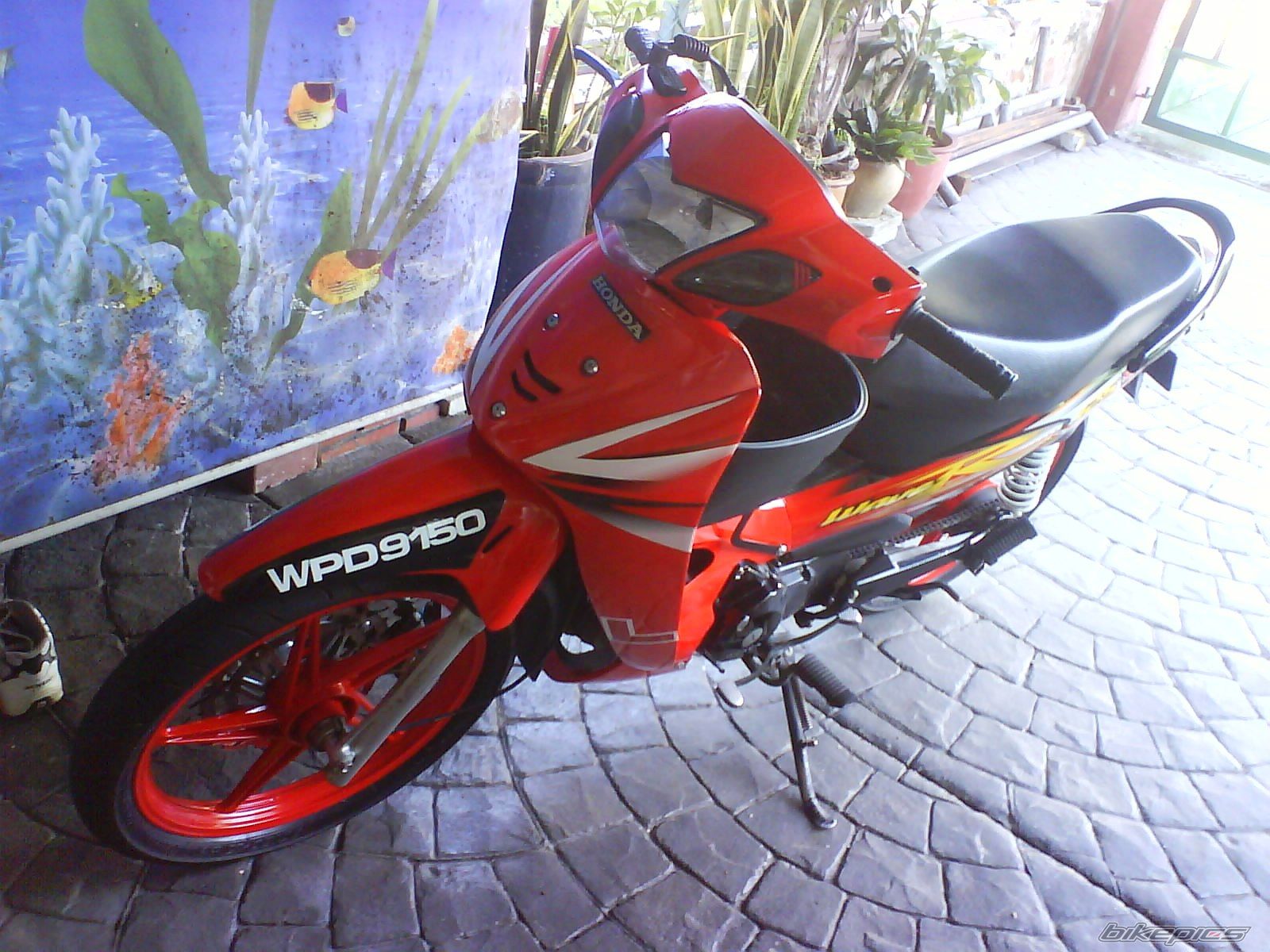 Bike Photo 1497081