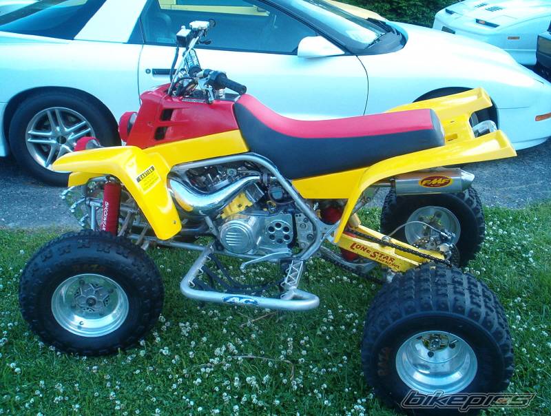 Photo 149709