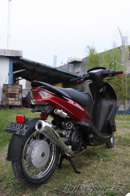 Photo 1497158