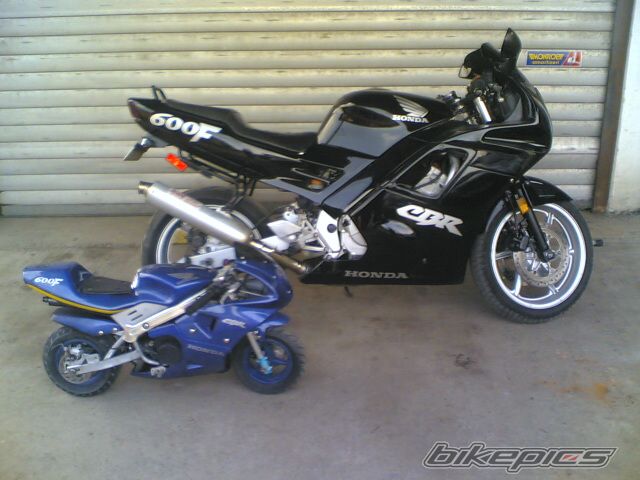 Photo 1497162