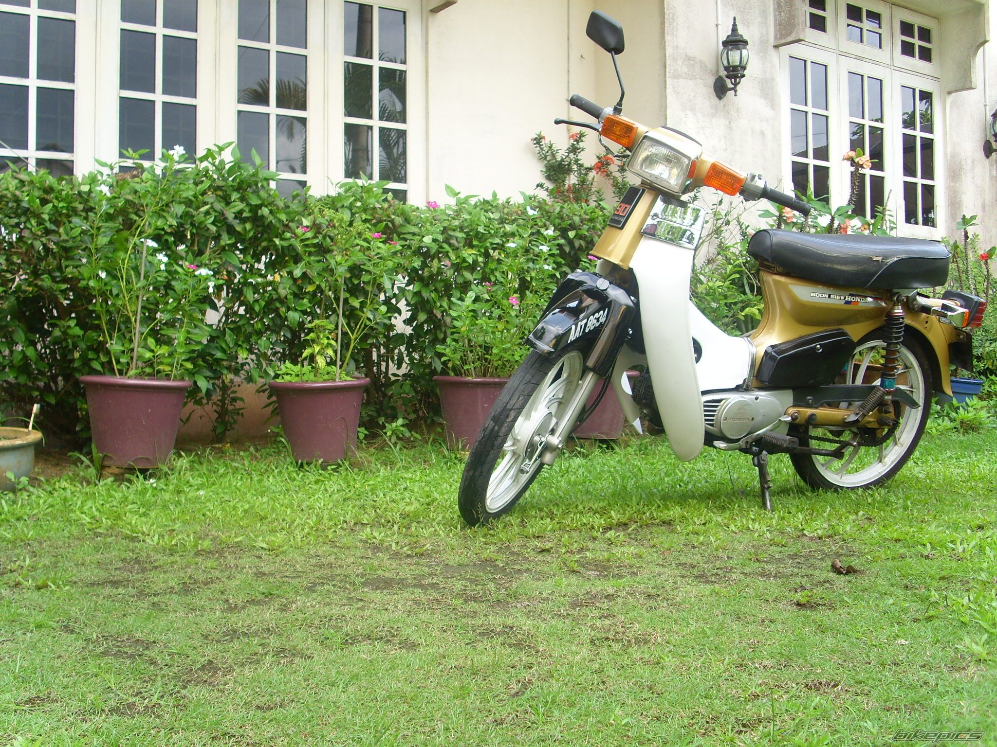 Photo 1497220