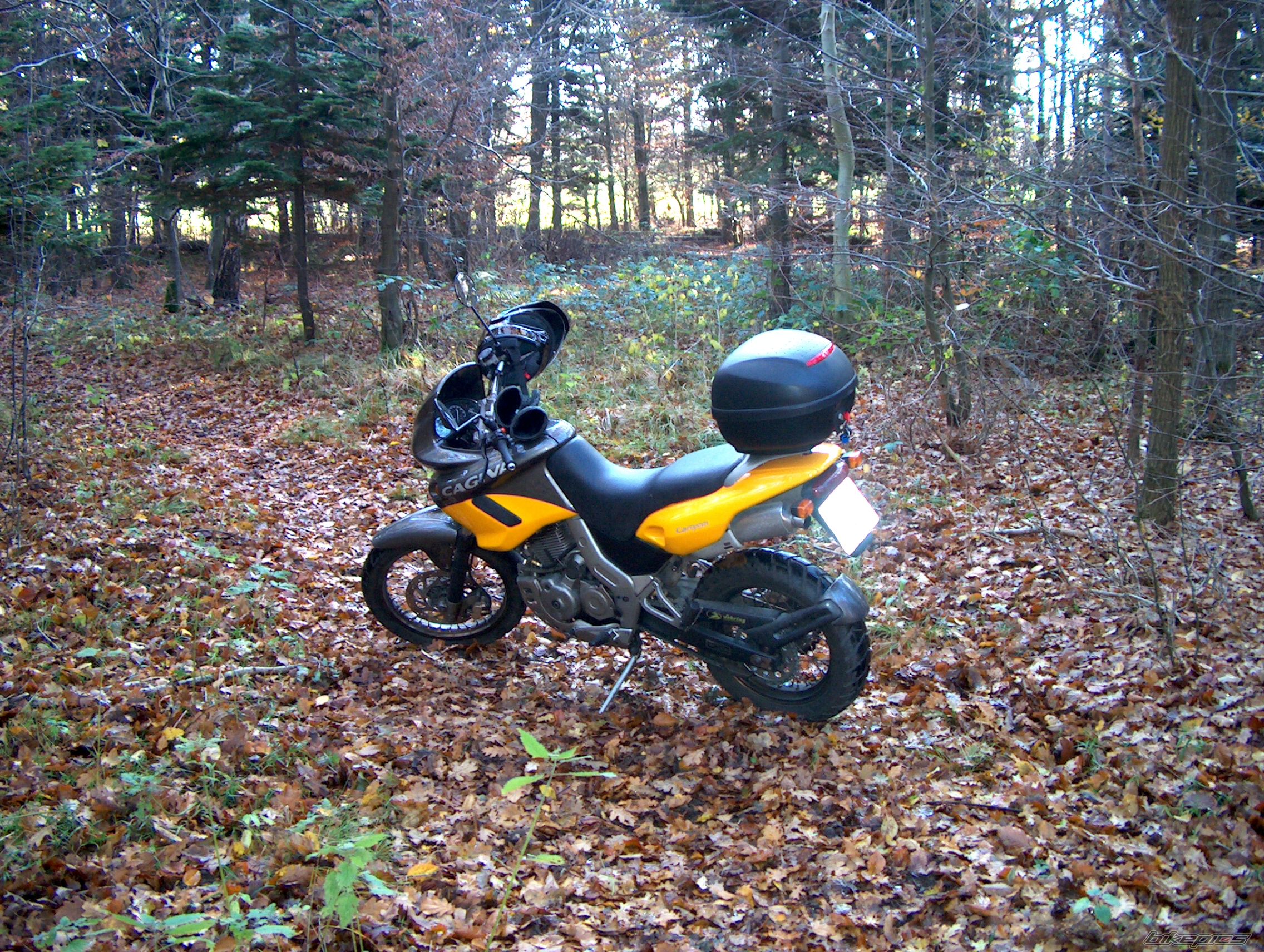 Photo 1497254