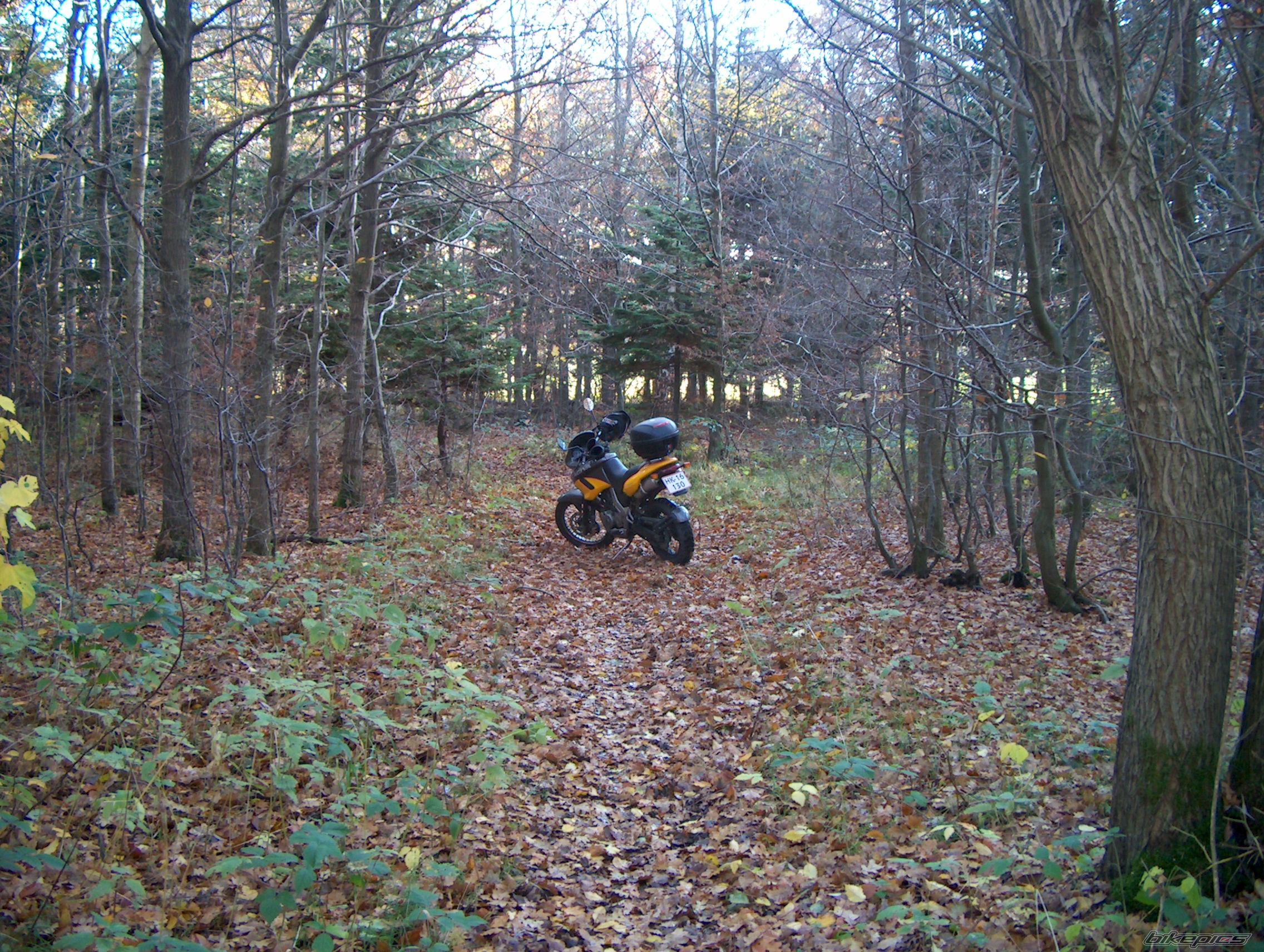 Photo 1497255