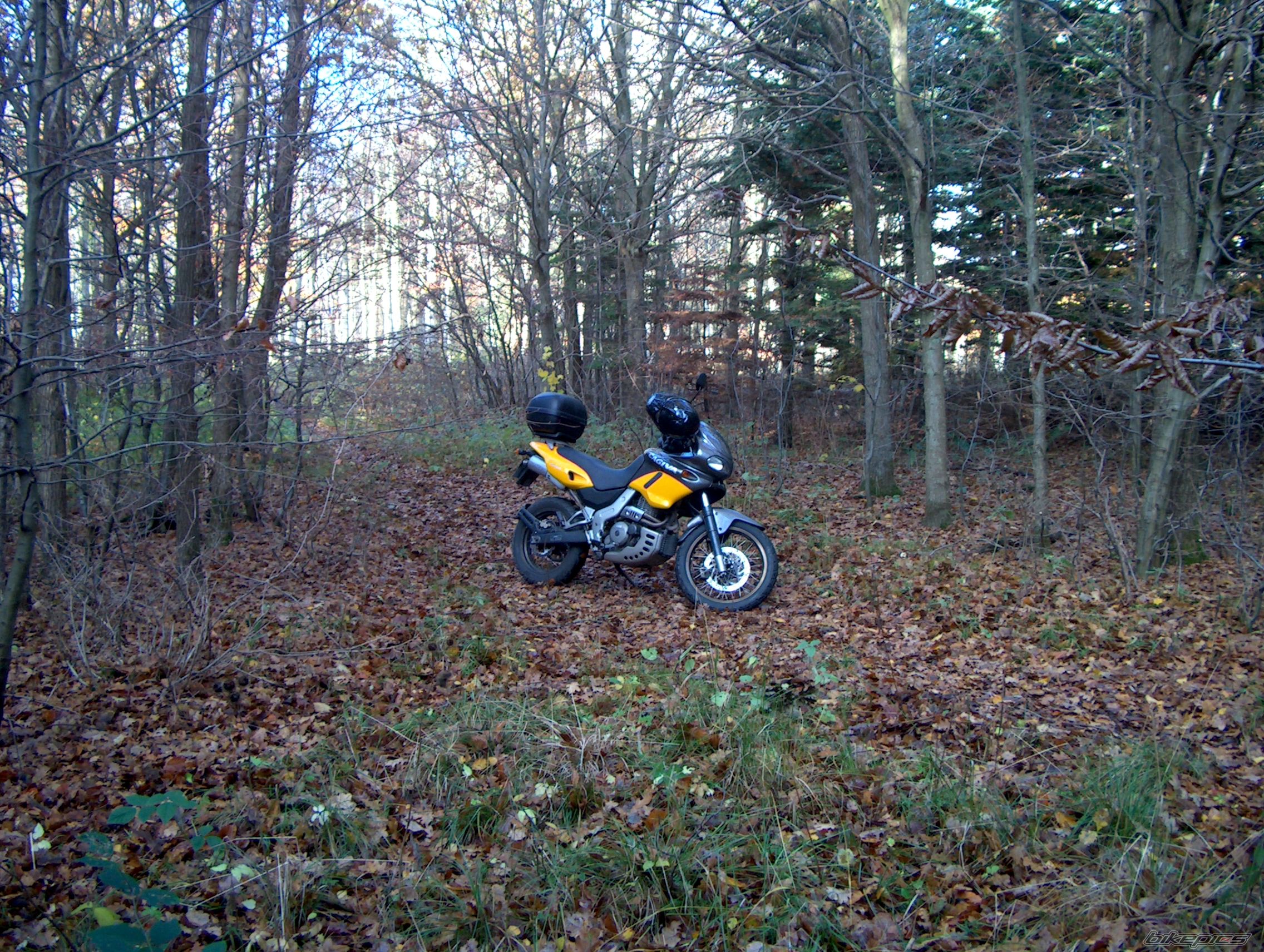 Photo 1497257
