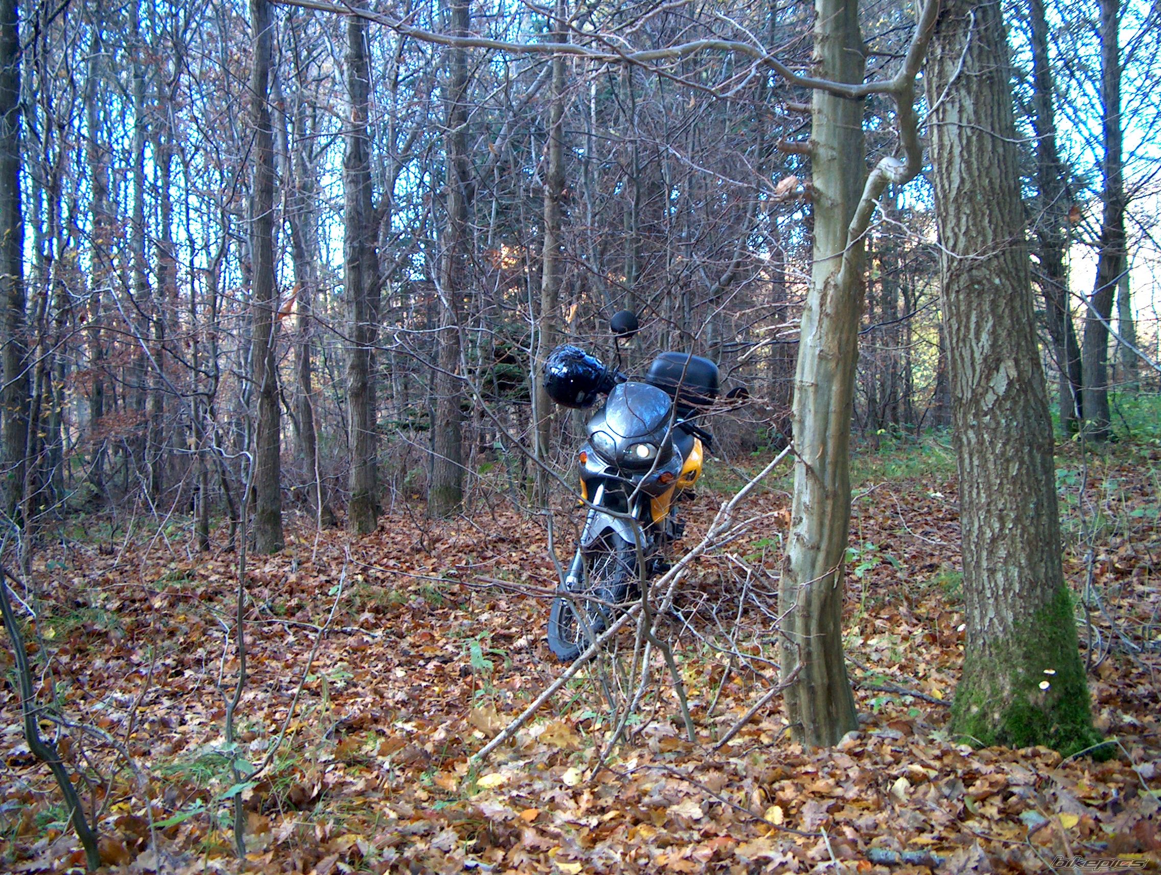 Photo 1497263