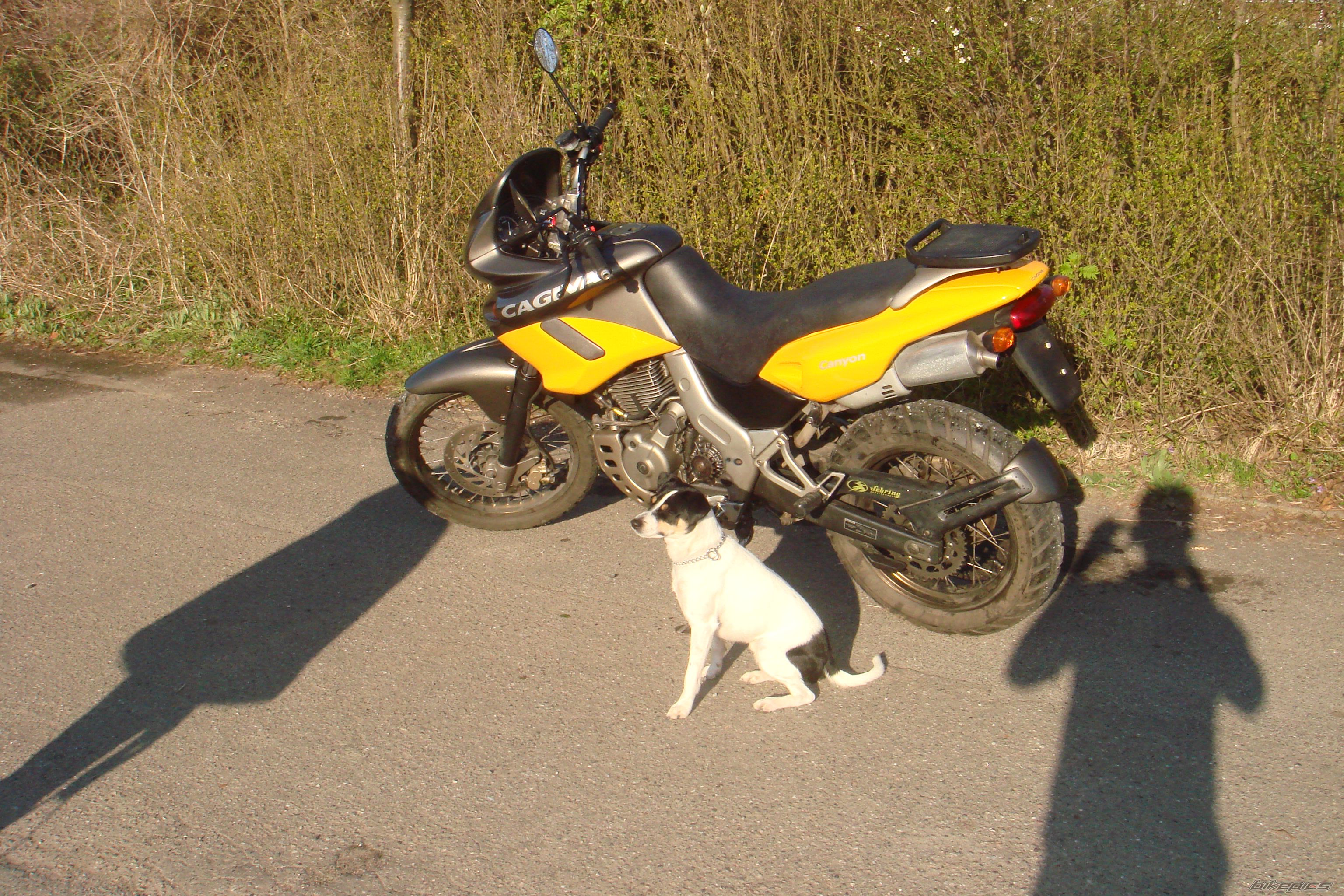 Photo 1497268