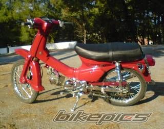 Photo 1497281