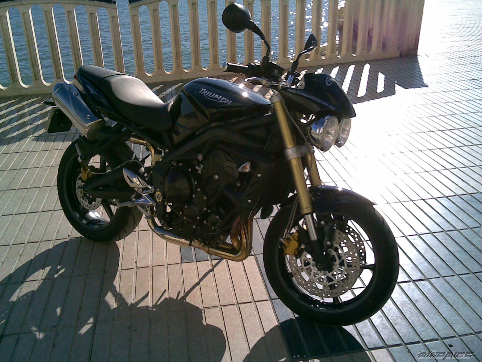 Photo 1497357